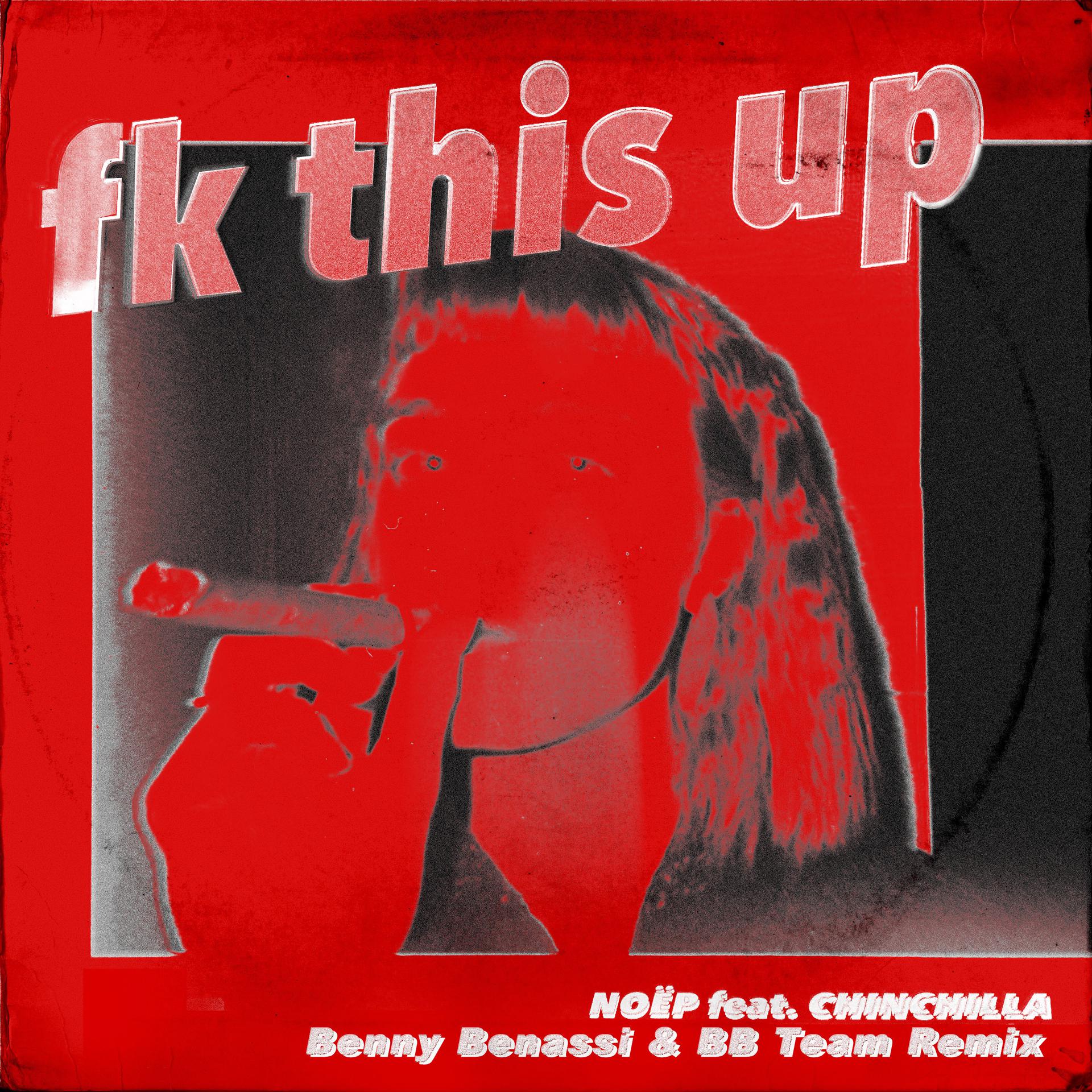 Постер альбома fk this up (feat. CHINCHILLA) [Benny Benassi & BB Team Remix]