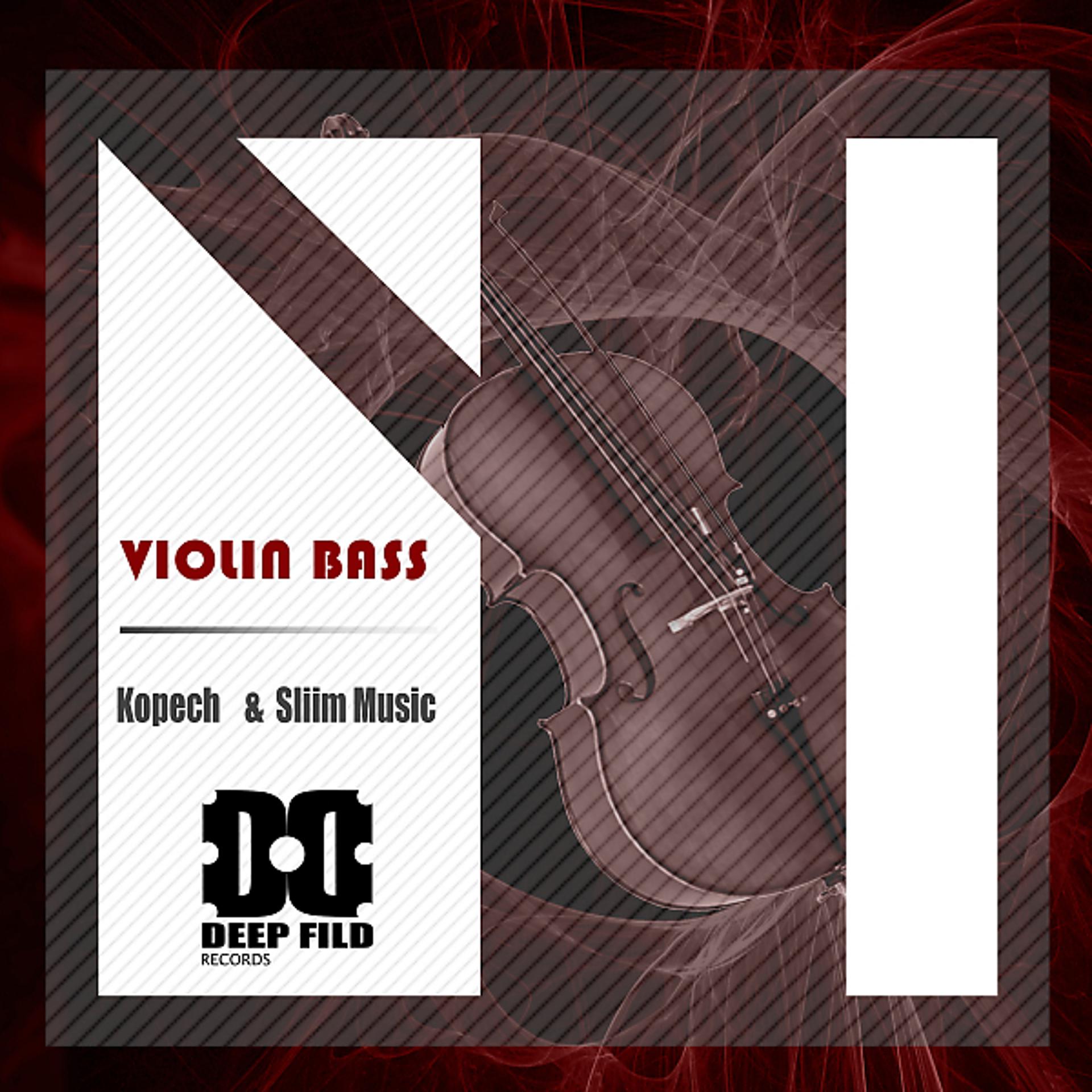 Постер альбома Violin Bass