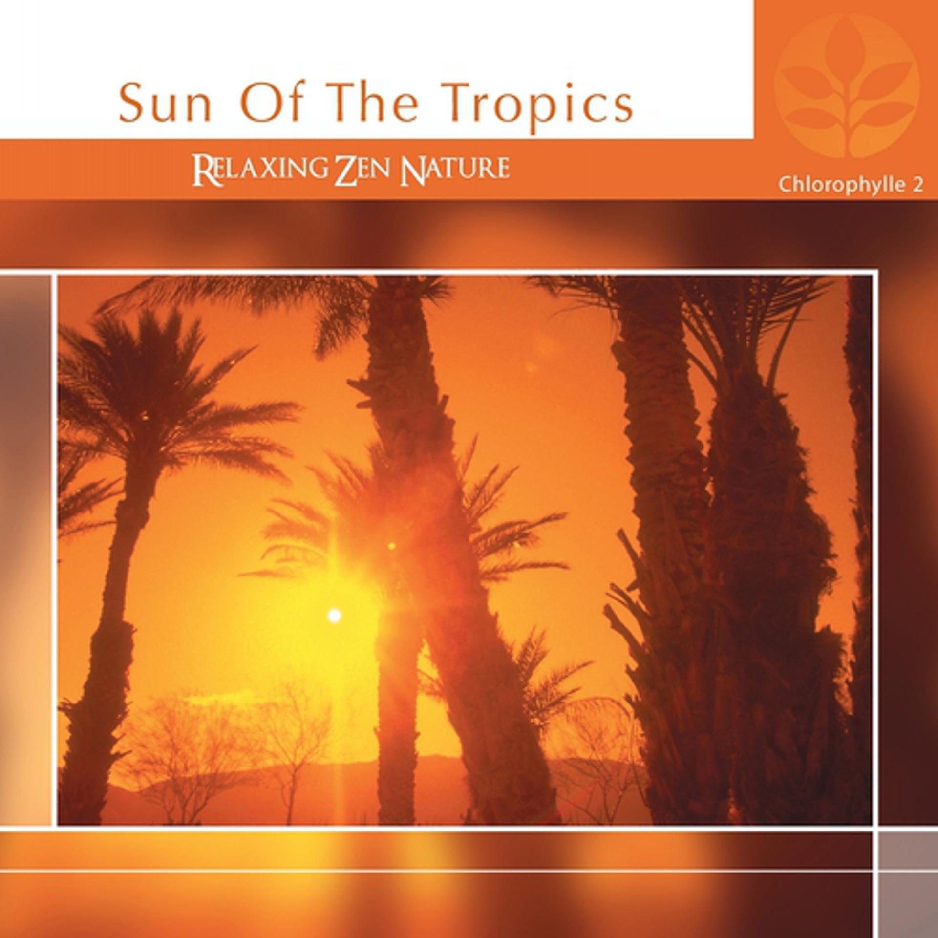 Постер альбома Chlorophylle II Sun of Tropics