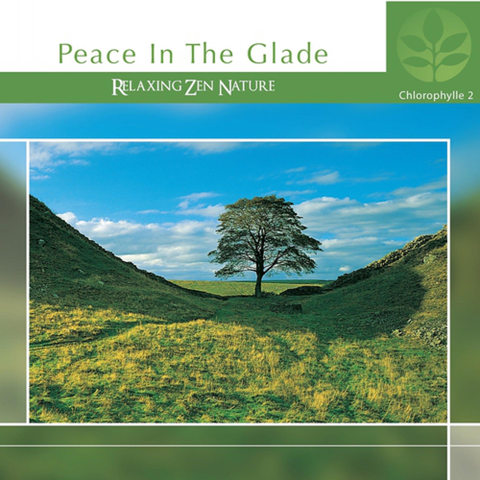 Постер альбома Chlorophylle II Peace in the Glade