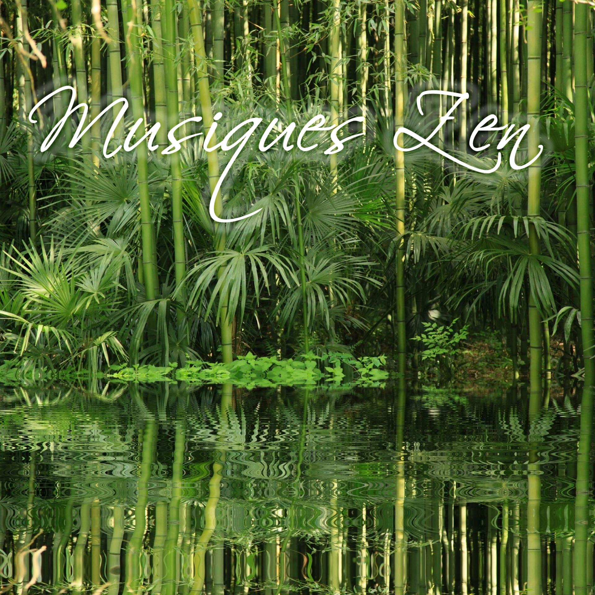 Постер альбома Musiques Zen