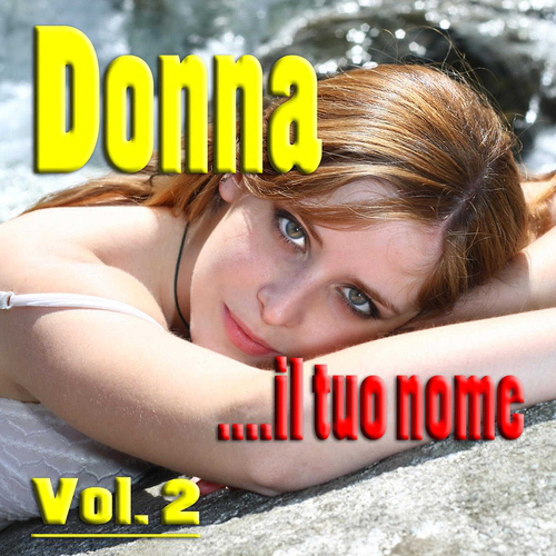 Постер альбома Donna ....Il tuo nome, vol. 2 (Cover Version)