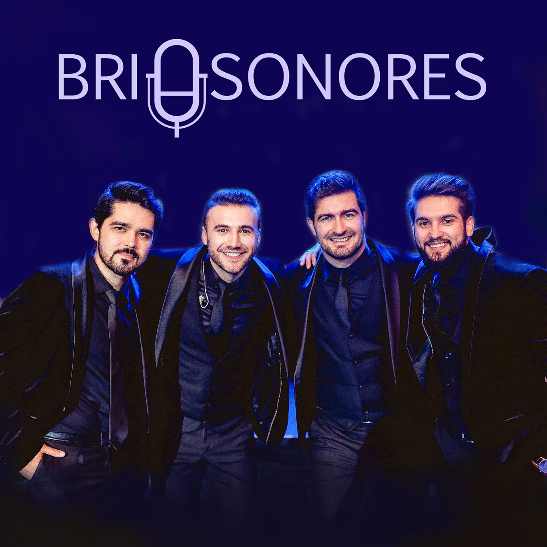 Постер альбома Brio Sonores 2