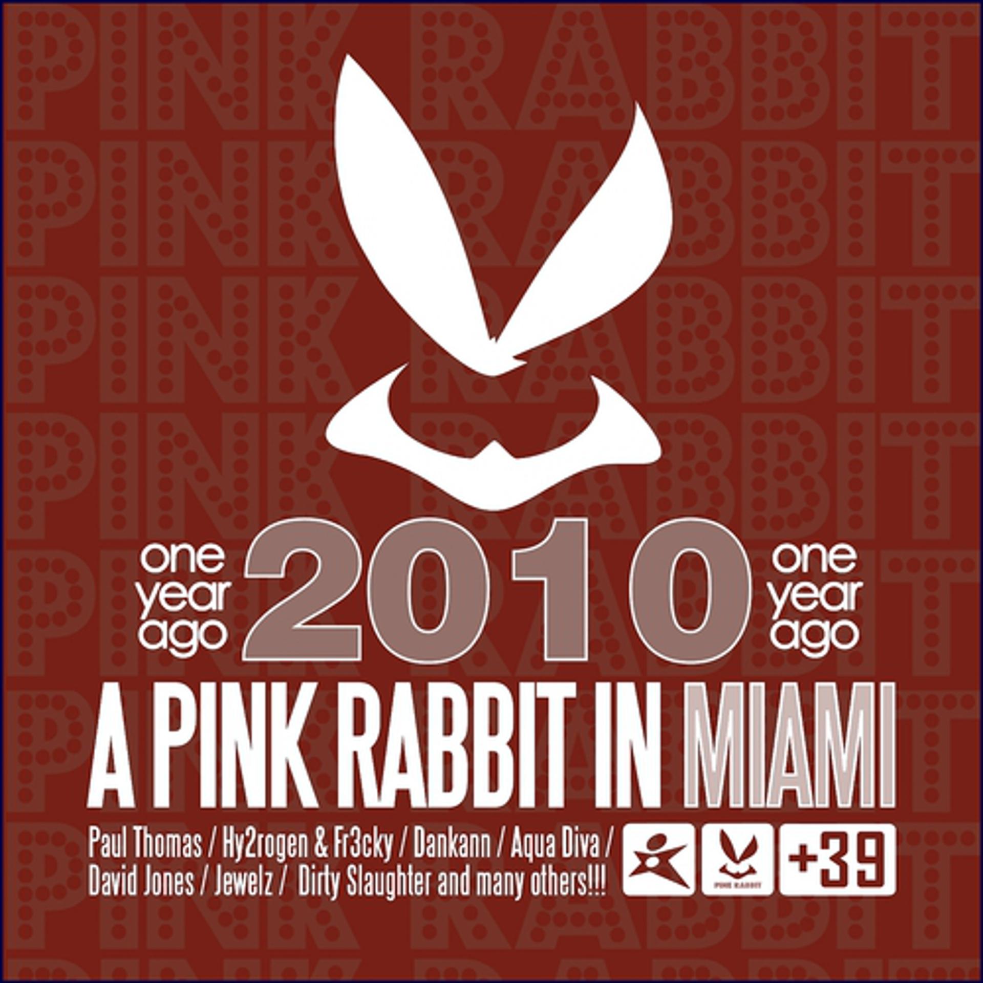 Постер альбома A Pink Rabbit In Miami
