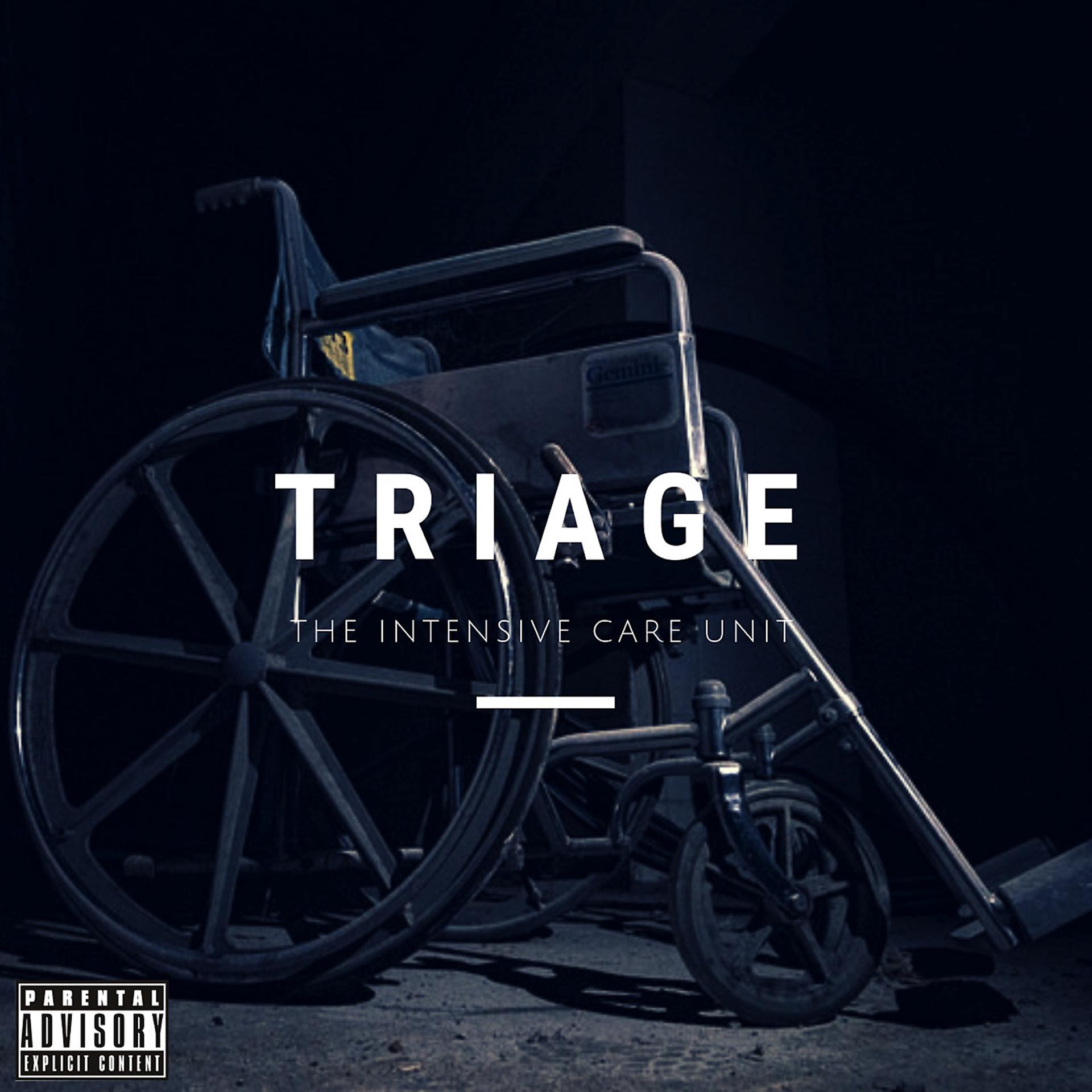 Постер альбома Triage