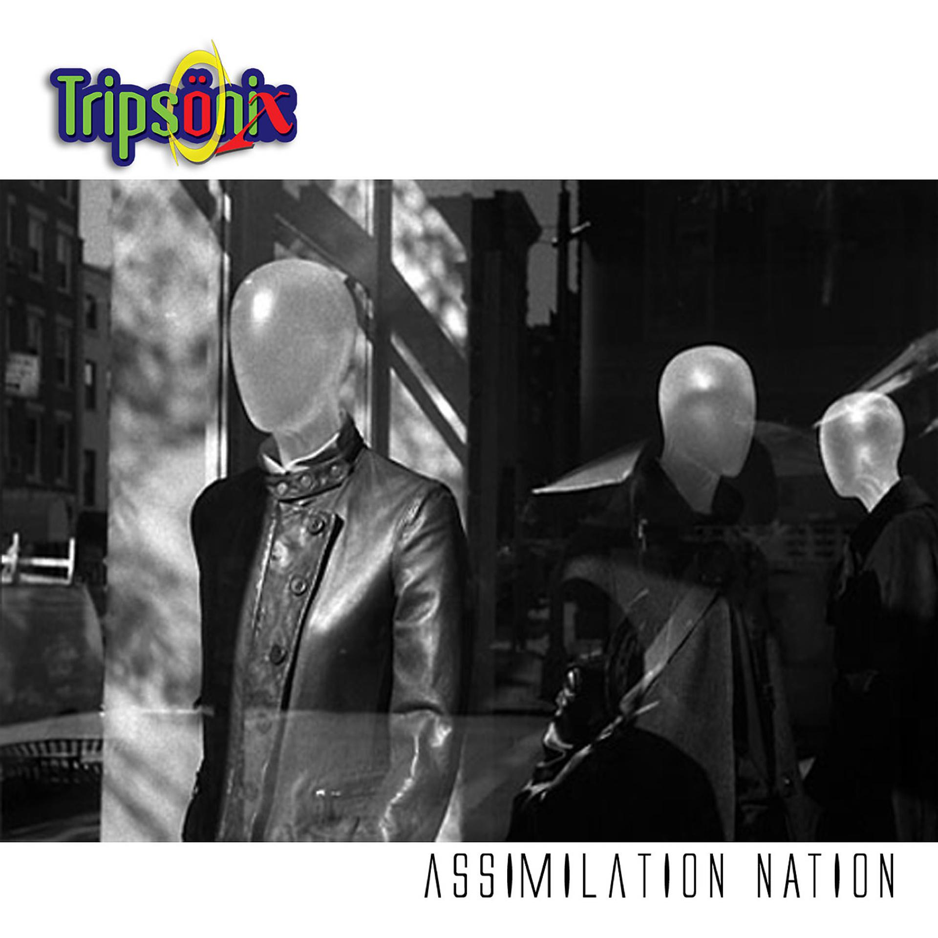 Постер альбома Assimilation Nation