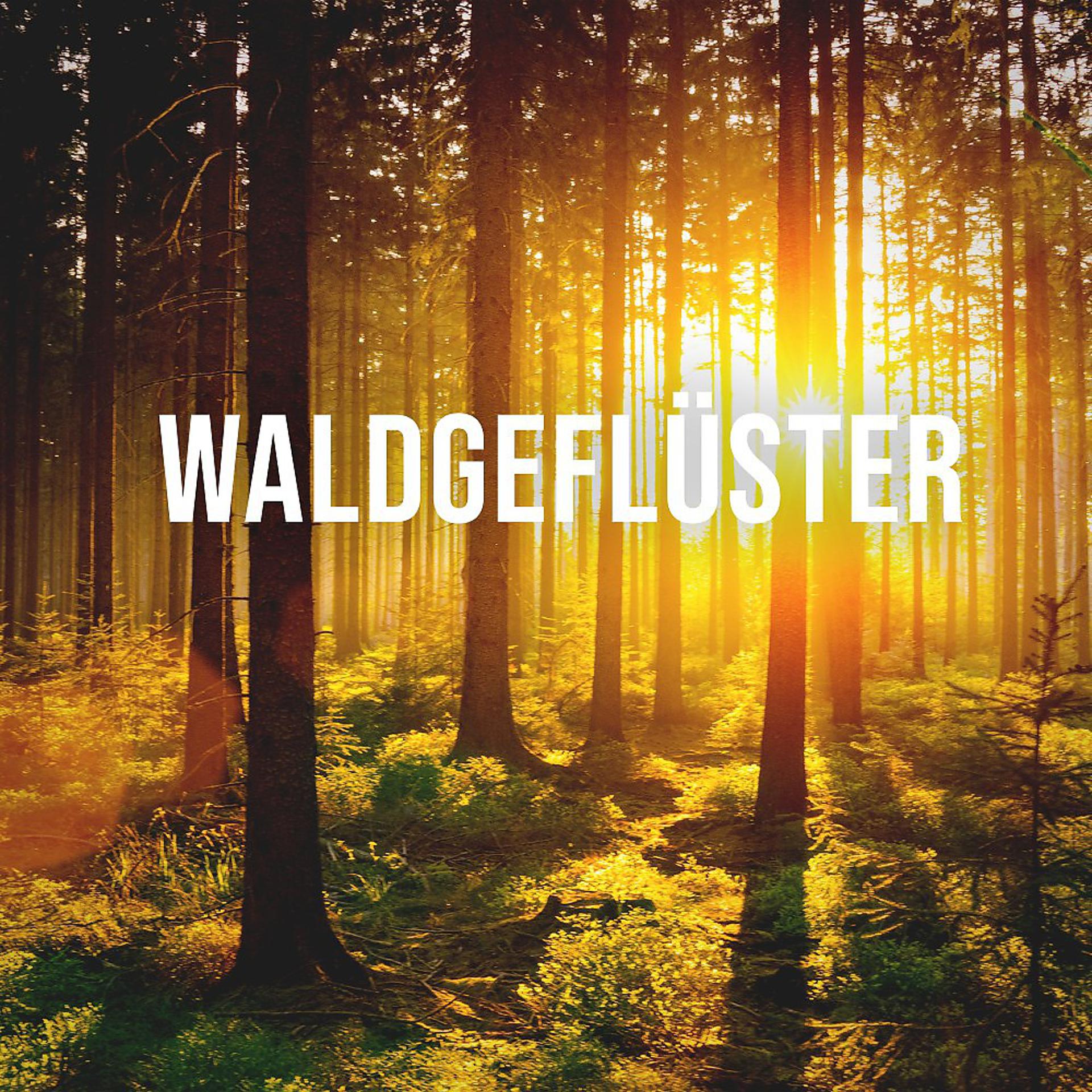 Постер альбома Waldgeflüster: Feel and Hear the Natural Sound of a Midsummer Day in the Heart of an Alpine Forest