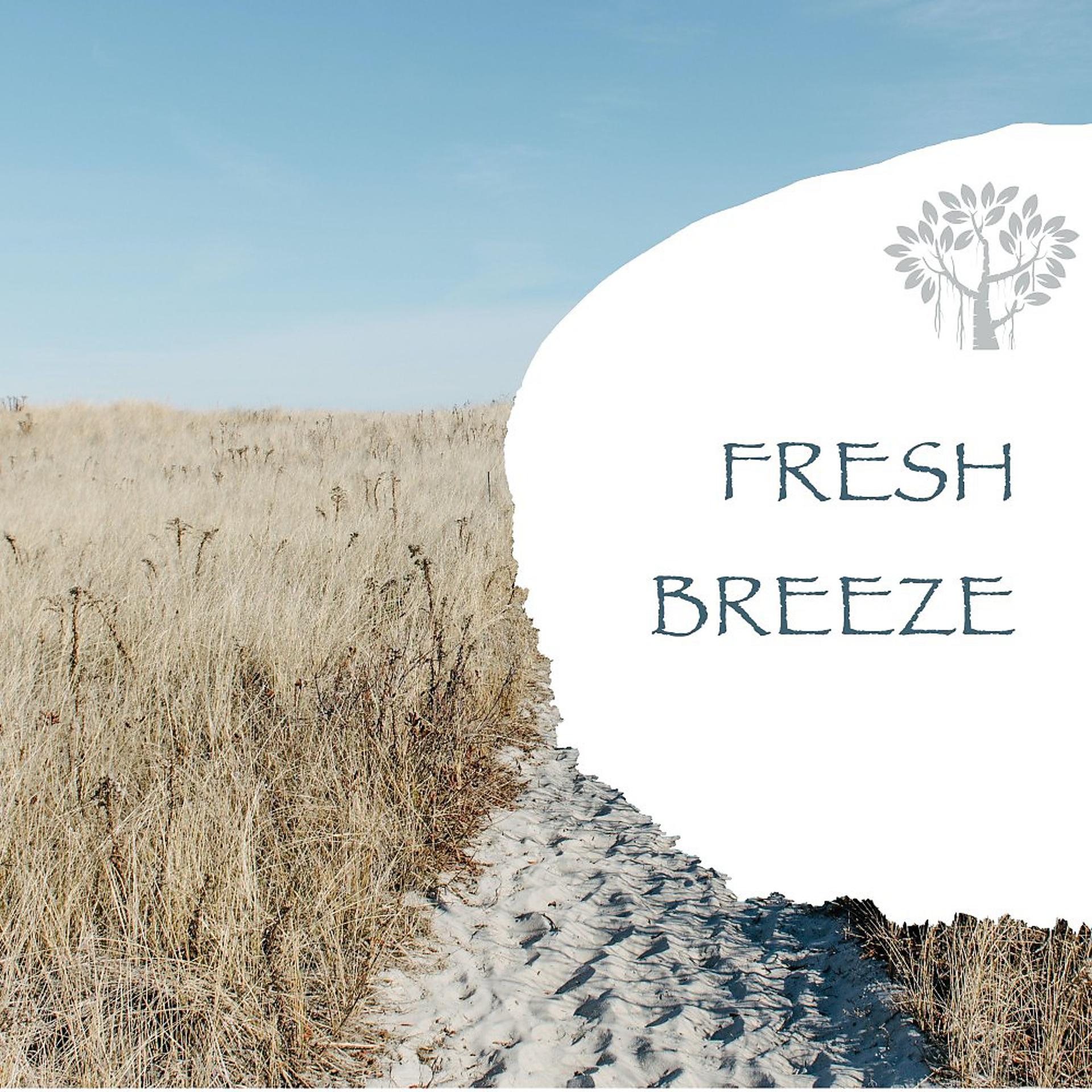 Постер альбома Fresh Breeze