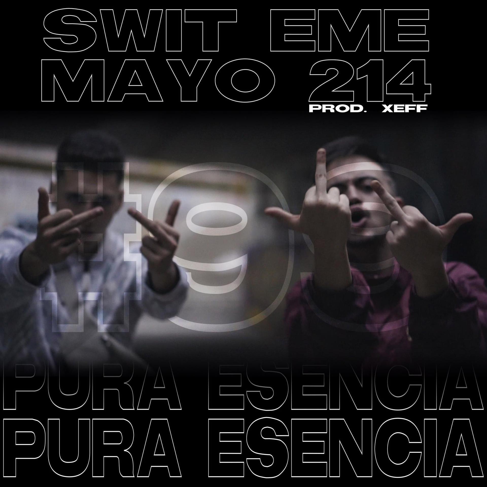 Постер альбома Pura Esencia