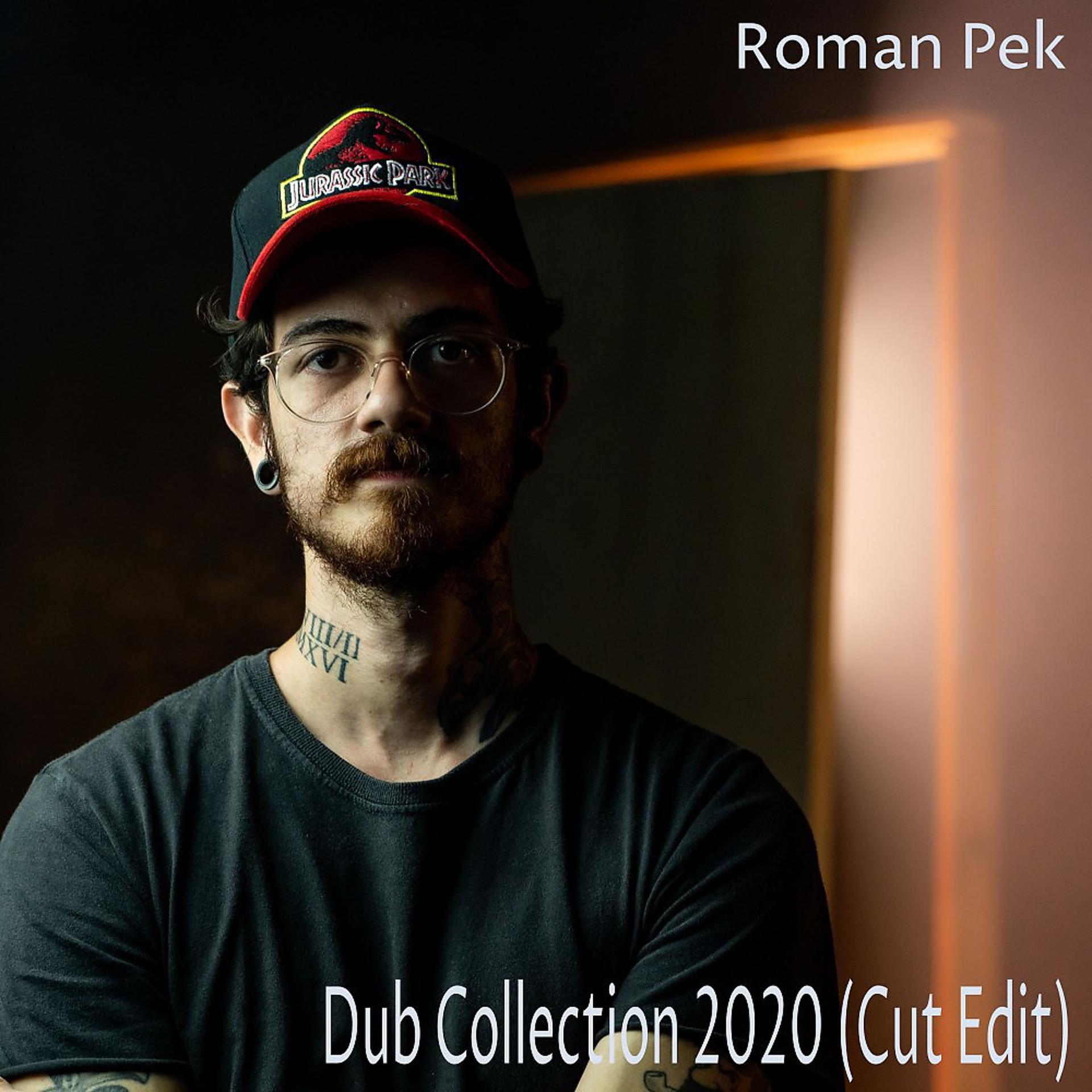 Постер альбома Dub Collection 2020 (Cut Edit)