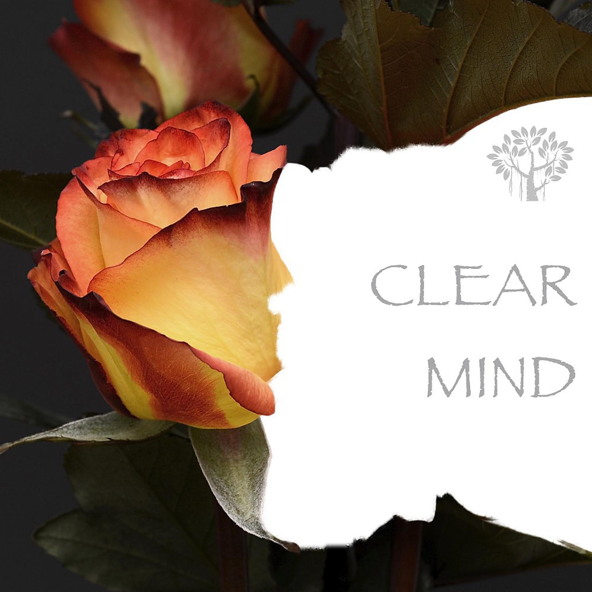 Постер альбома Clear Mind