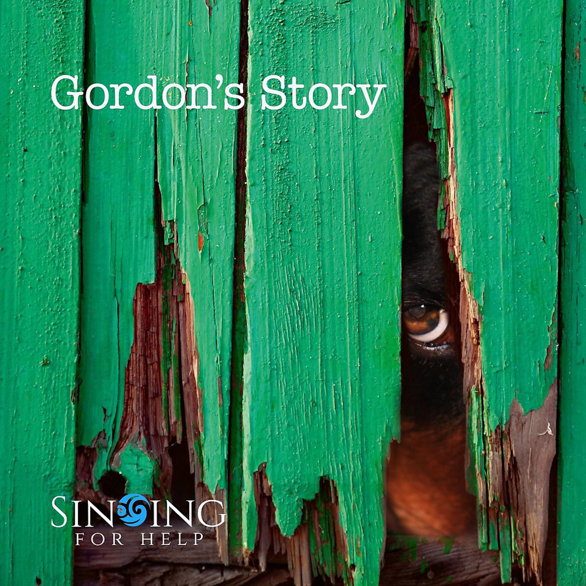 Постер альбома Gordon's Story (Radio Edit)