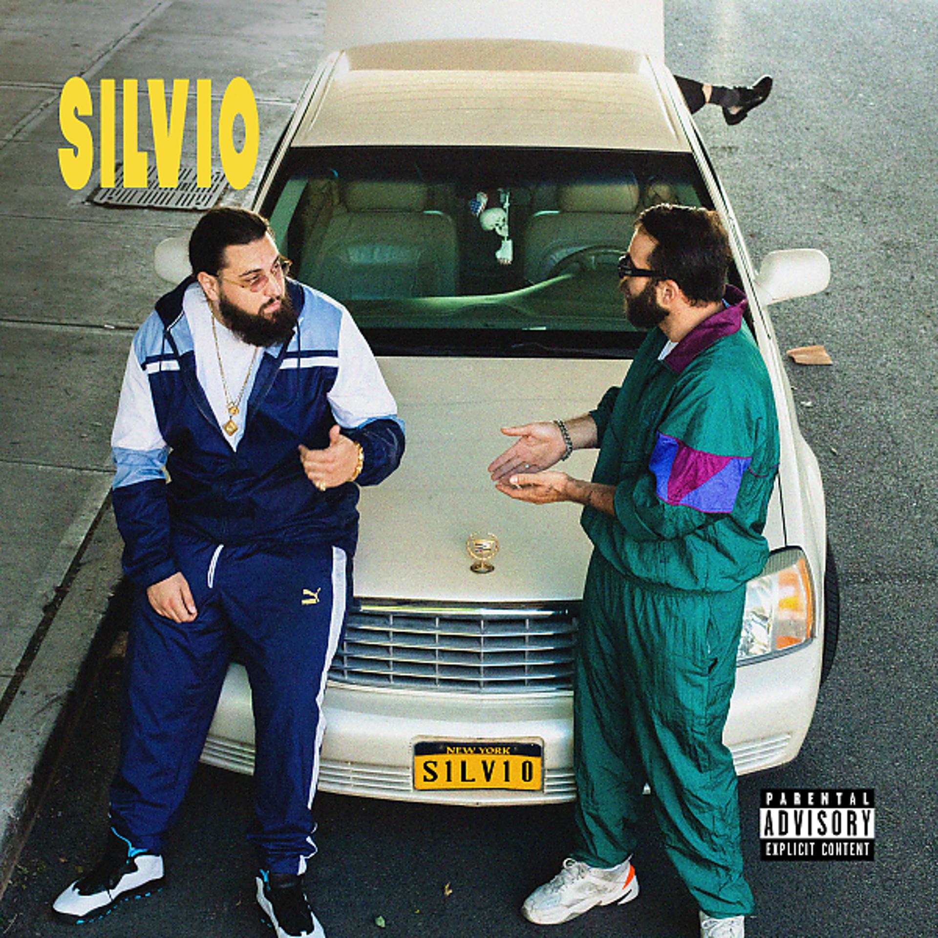 Постер альбома Silvio