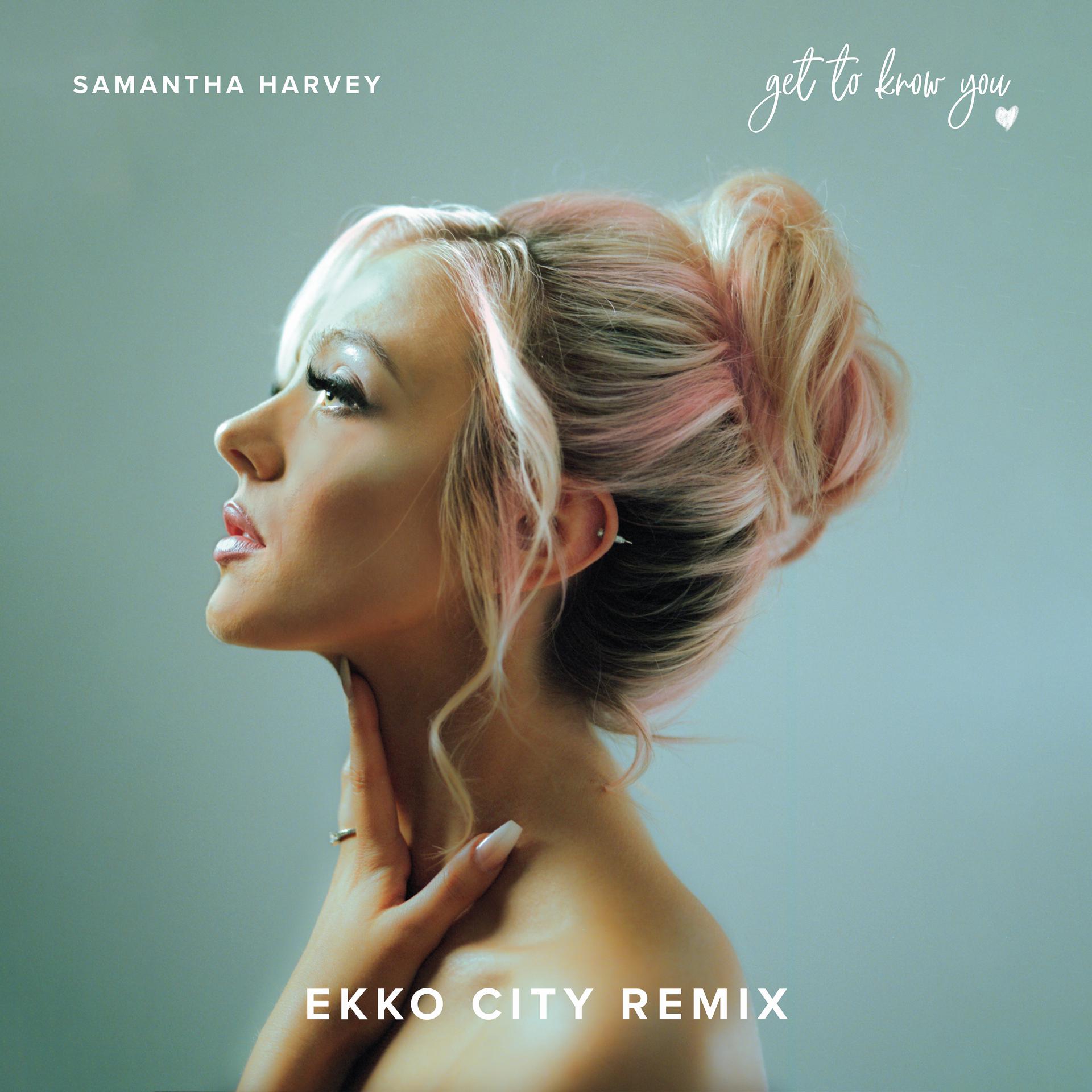 Постер альбома Get To Know You (Ekko City Remix)