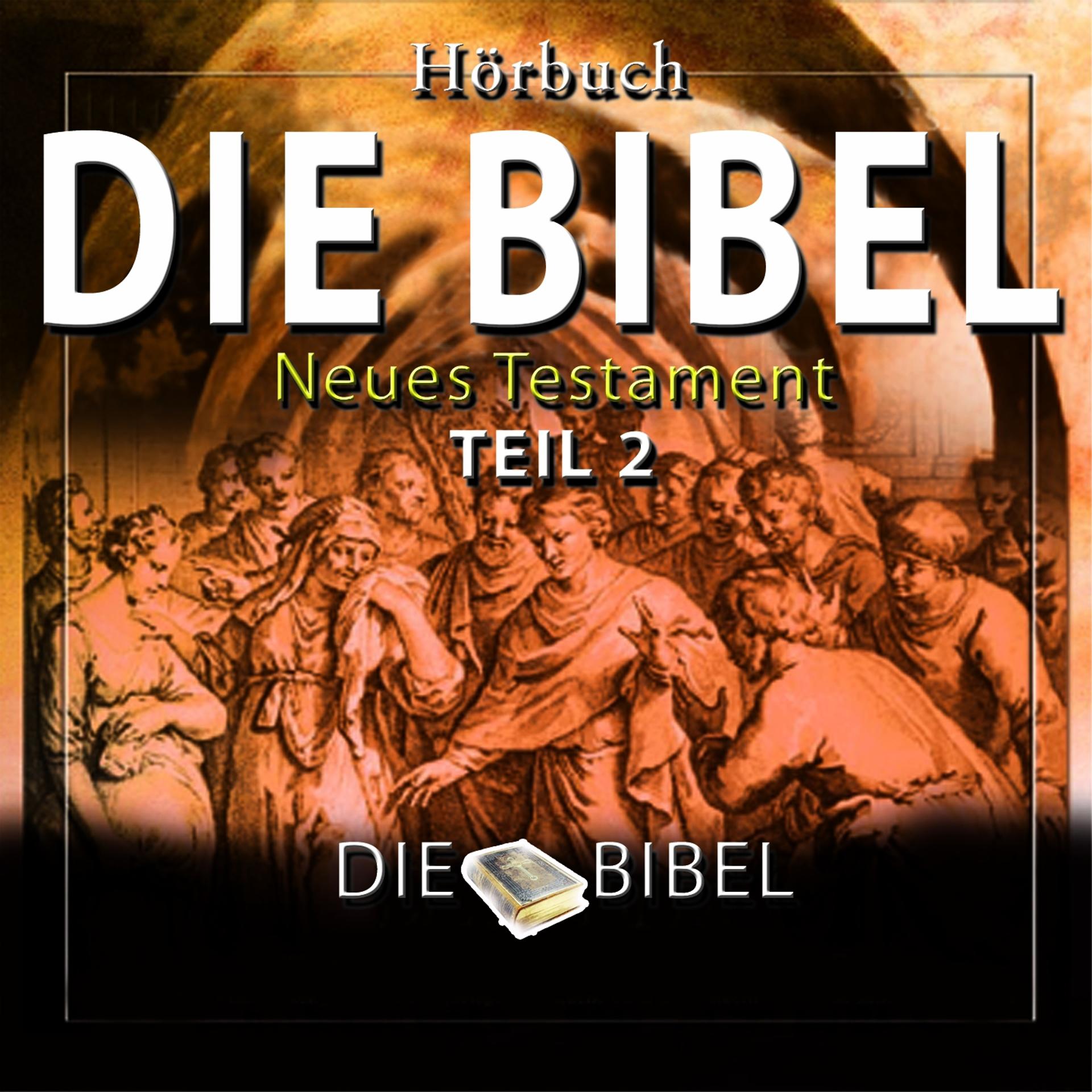 Постер альбома Die Bibel : Das Neue Testament, Teil 2 (Kapitel 2)