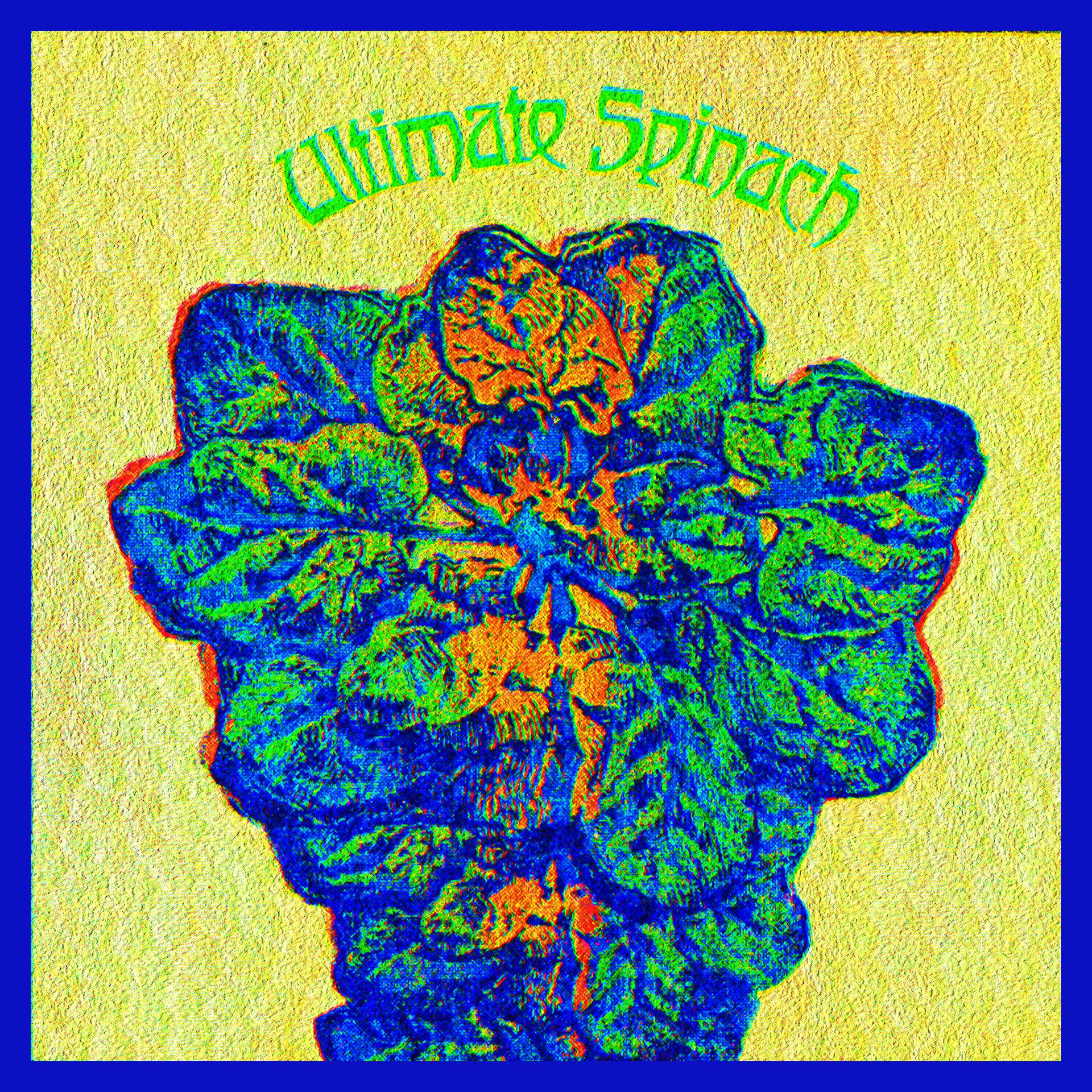 Постер альбома Ultimate Spinach - Ultimate Spinach (New Mono Edition)