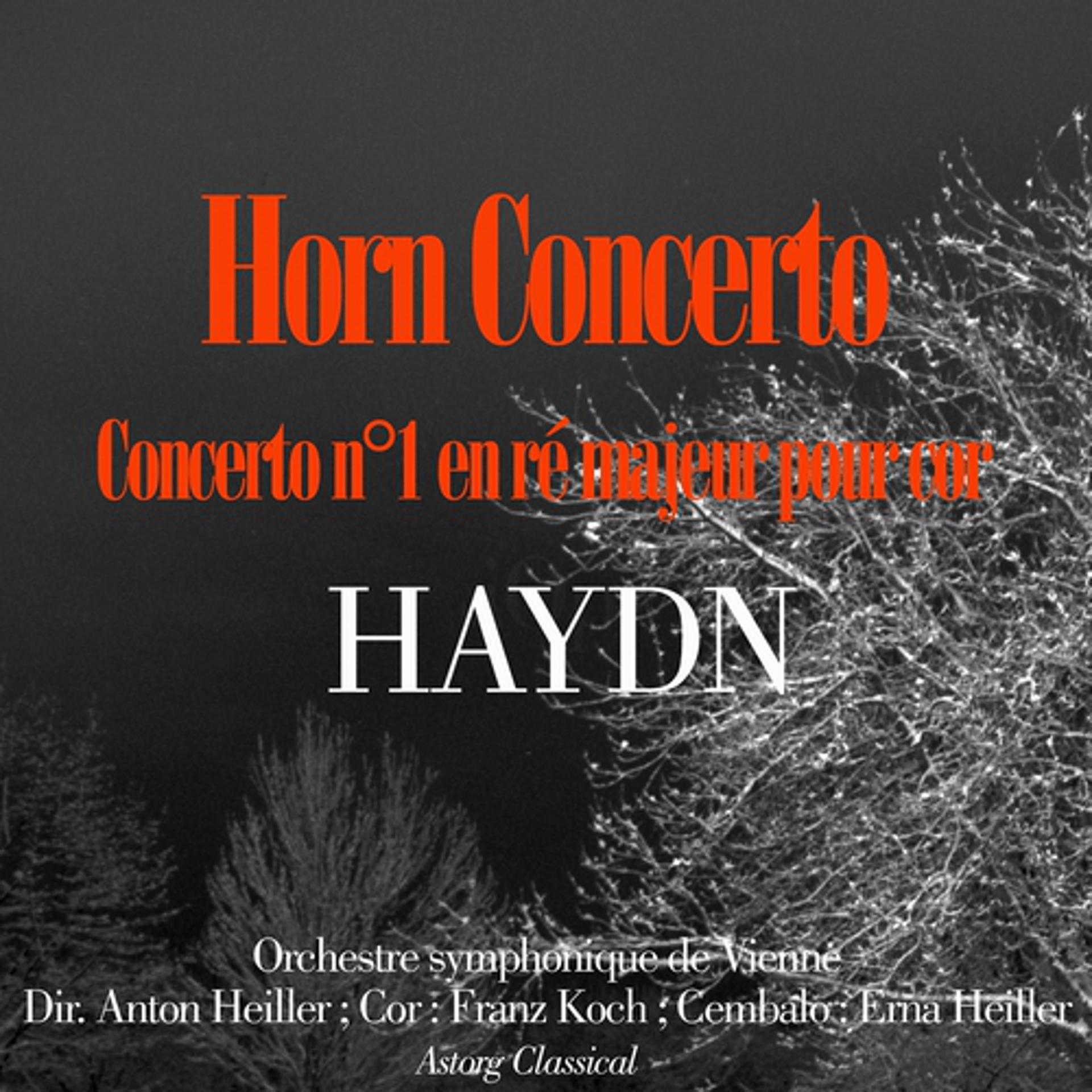 Постер альбома Haydn : Horn concerto No. 1 en ré majeur pour cor