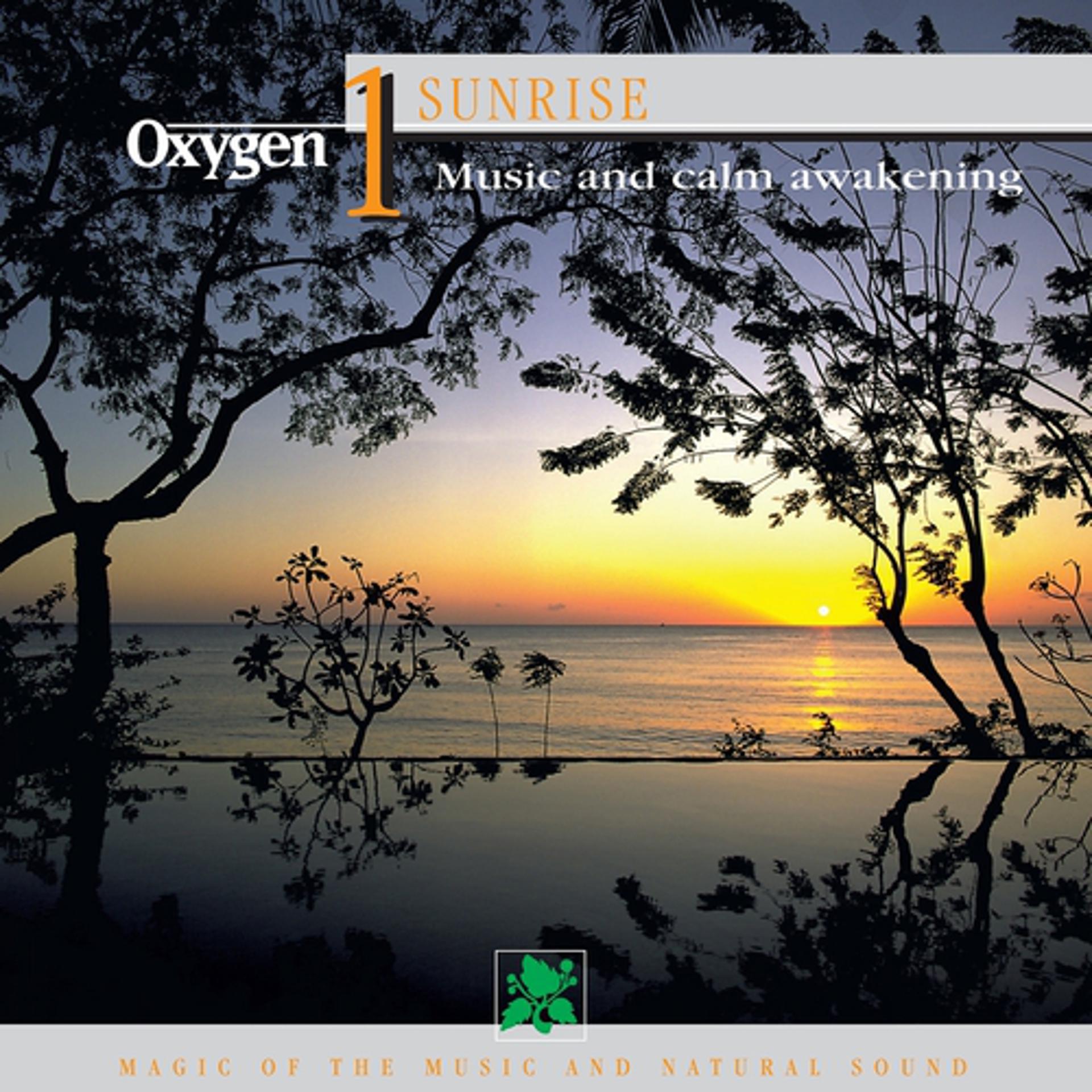 Постер альбома Oxygen 1: The Sunrise