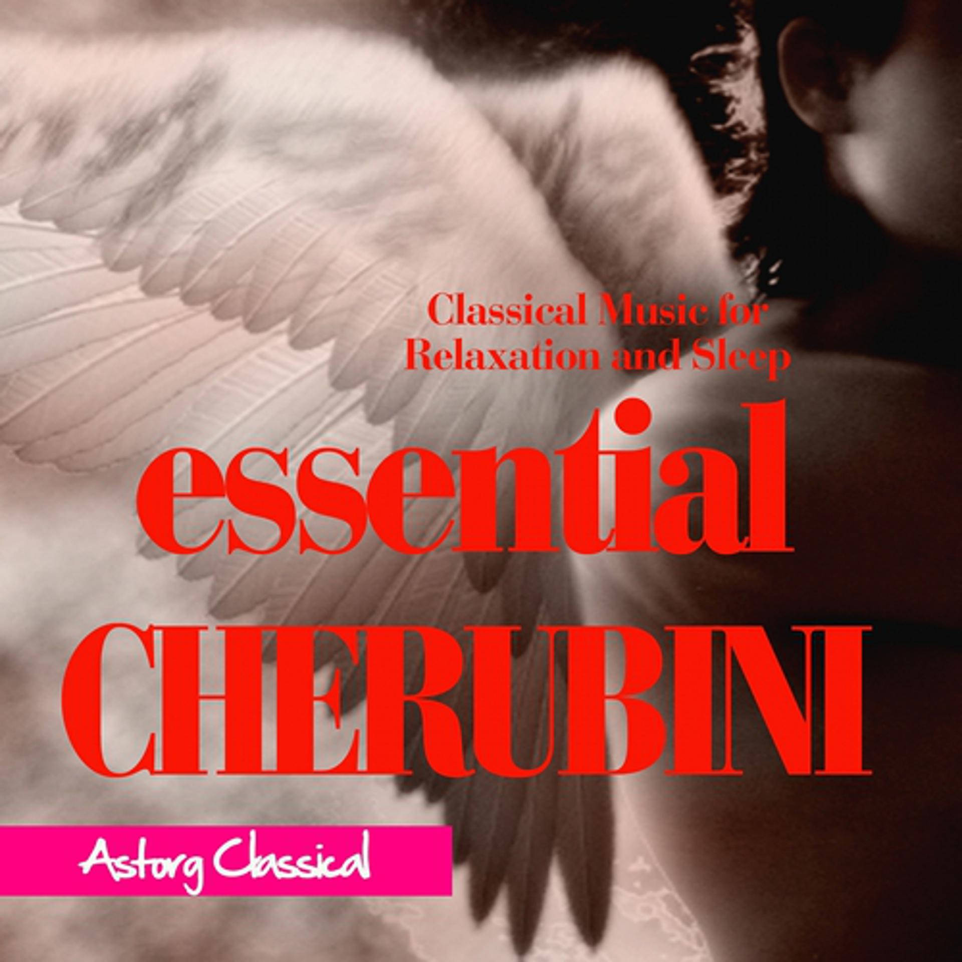 Постер альбома Essential Cherubini (Classical music for relaxation and sleep)
