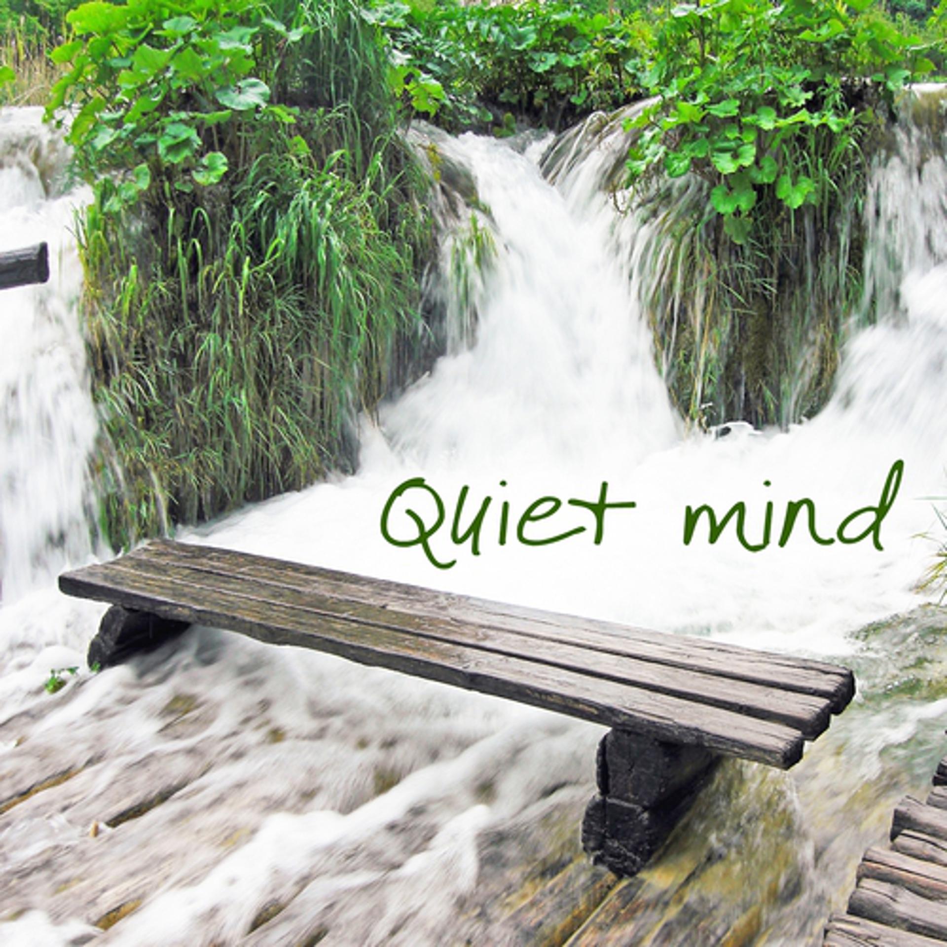 Постер альбома Quiet Mind : Music for Relaxation & Meditation, Yoga, Massage and Spa