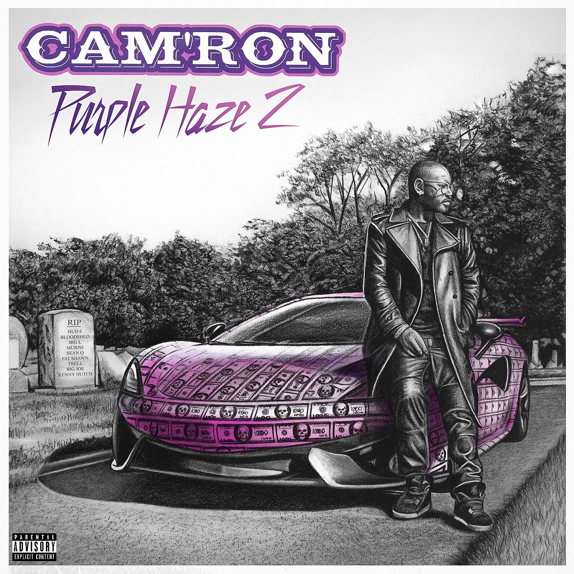 Постер альбома Purple Haze 2