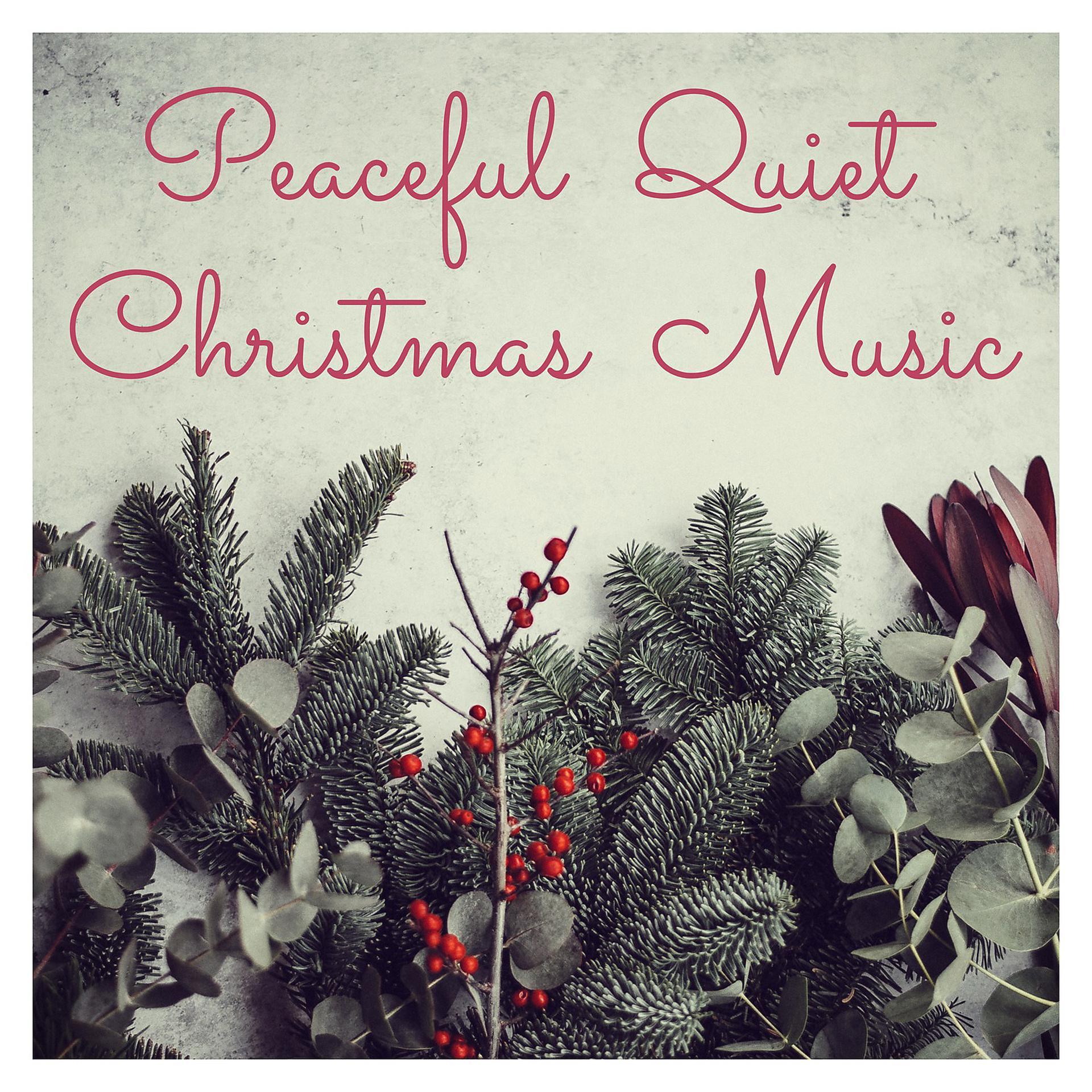 Постер альбома Peaceful Quiet Christmas Music