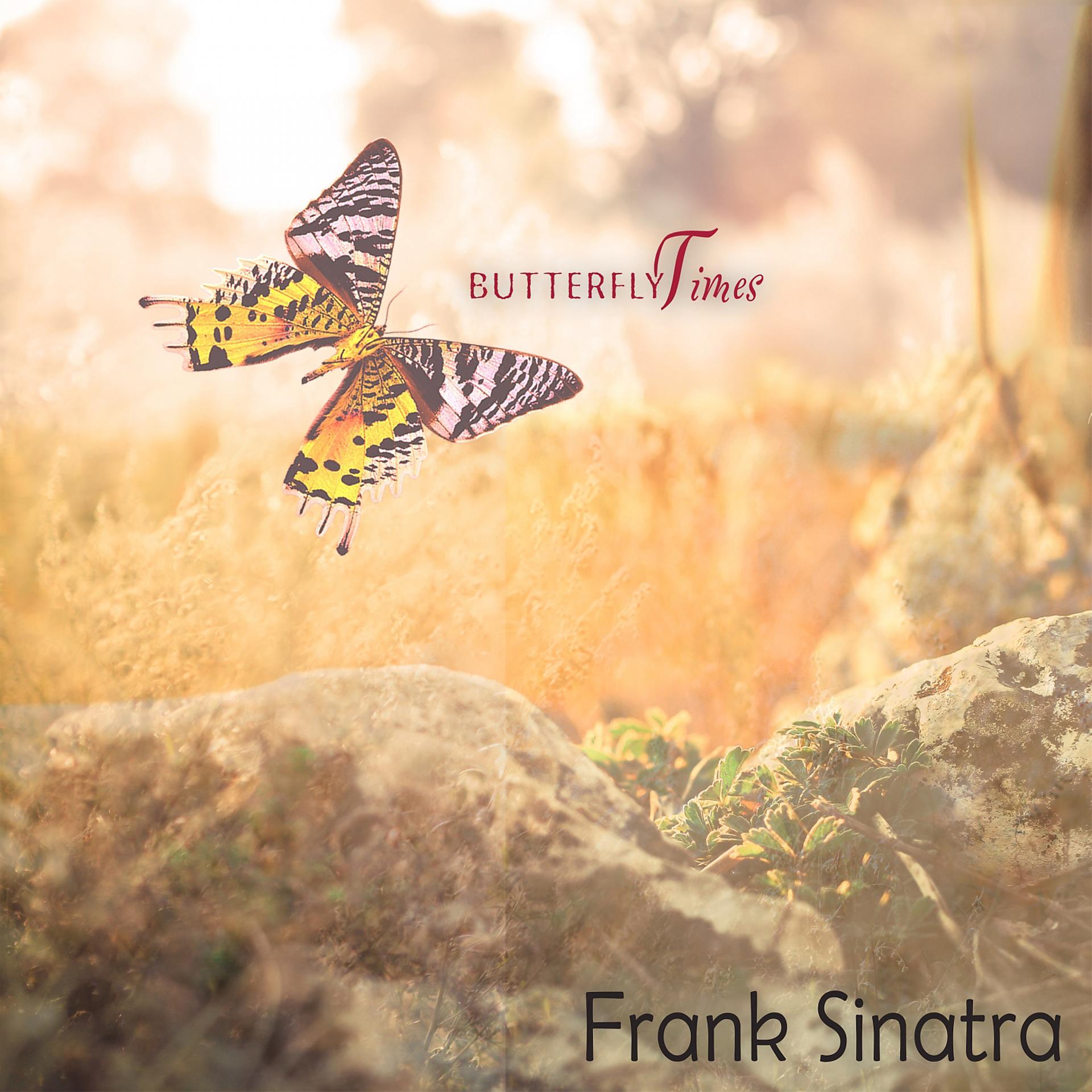 Постер альбома Butterfly Times