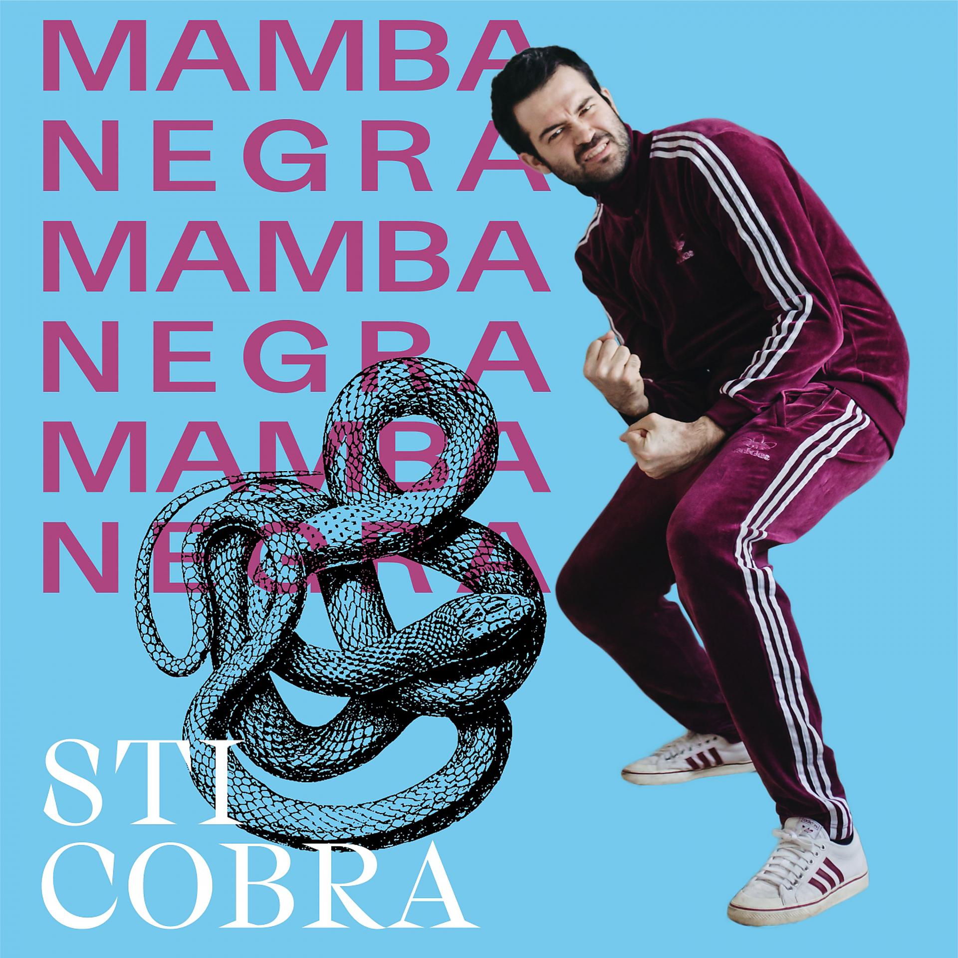 Постер альбома Mamba Negra