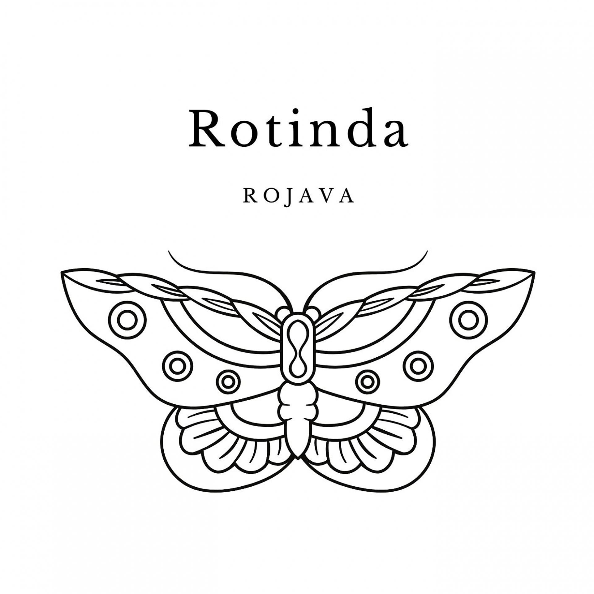 Постер альбома Rojava