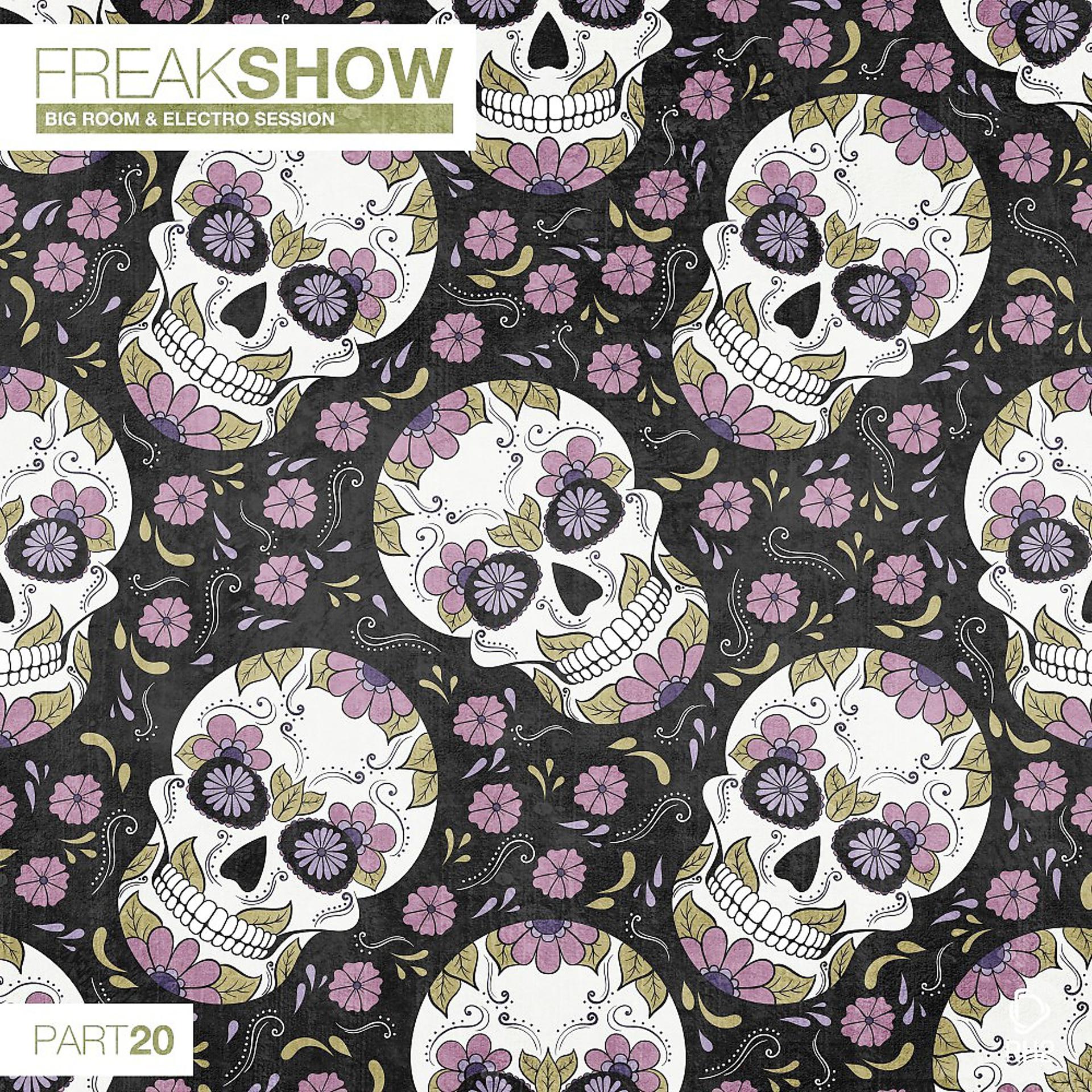Постер альбома Freak Show, Vol. 20 - Big Room & Electro Session