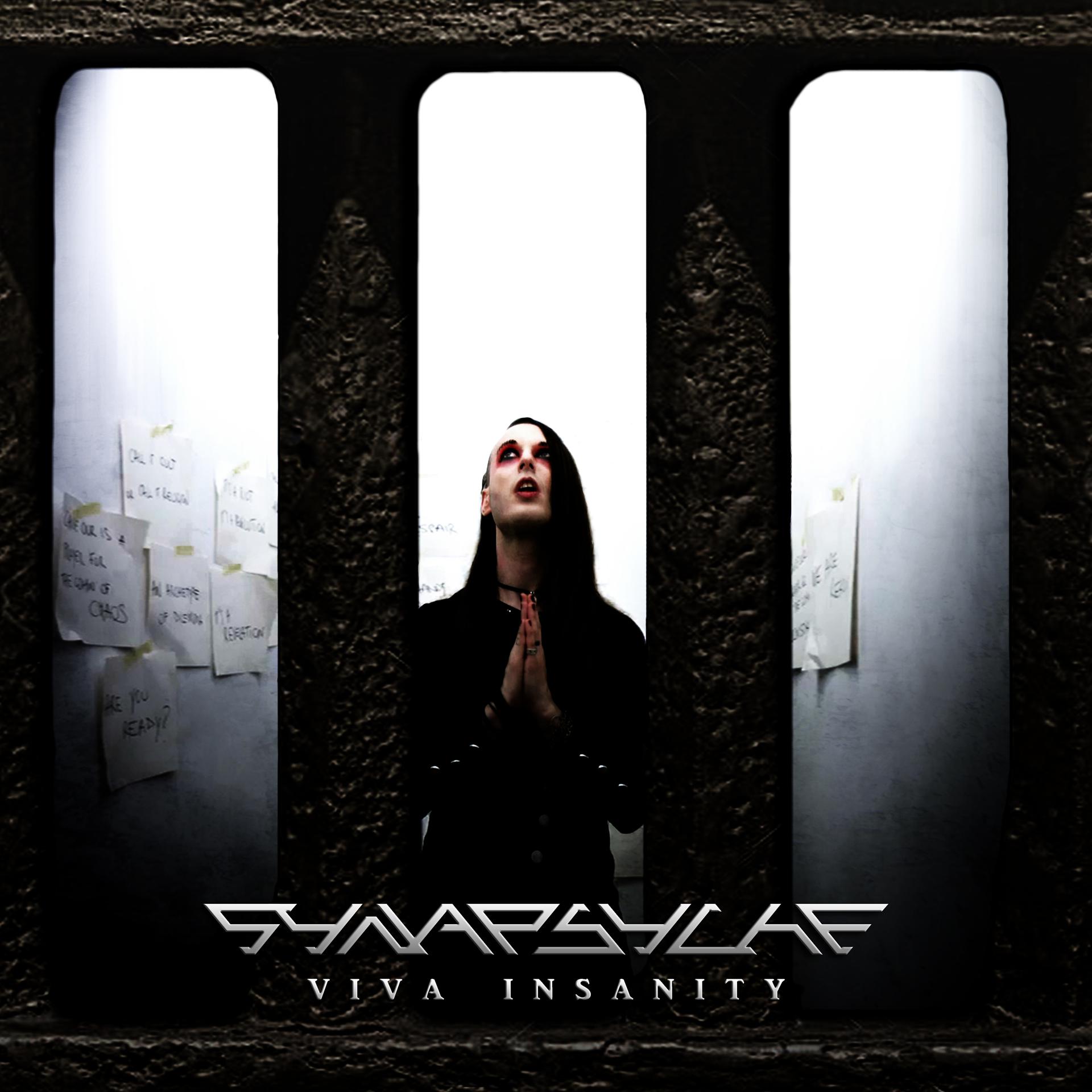 Постер альбома Viva Insanity