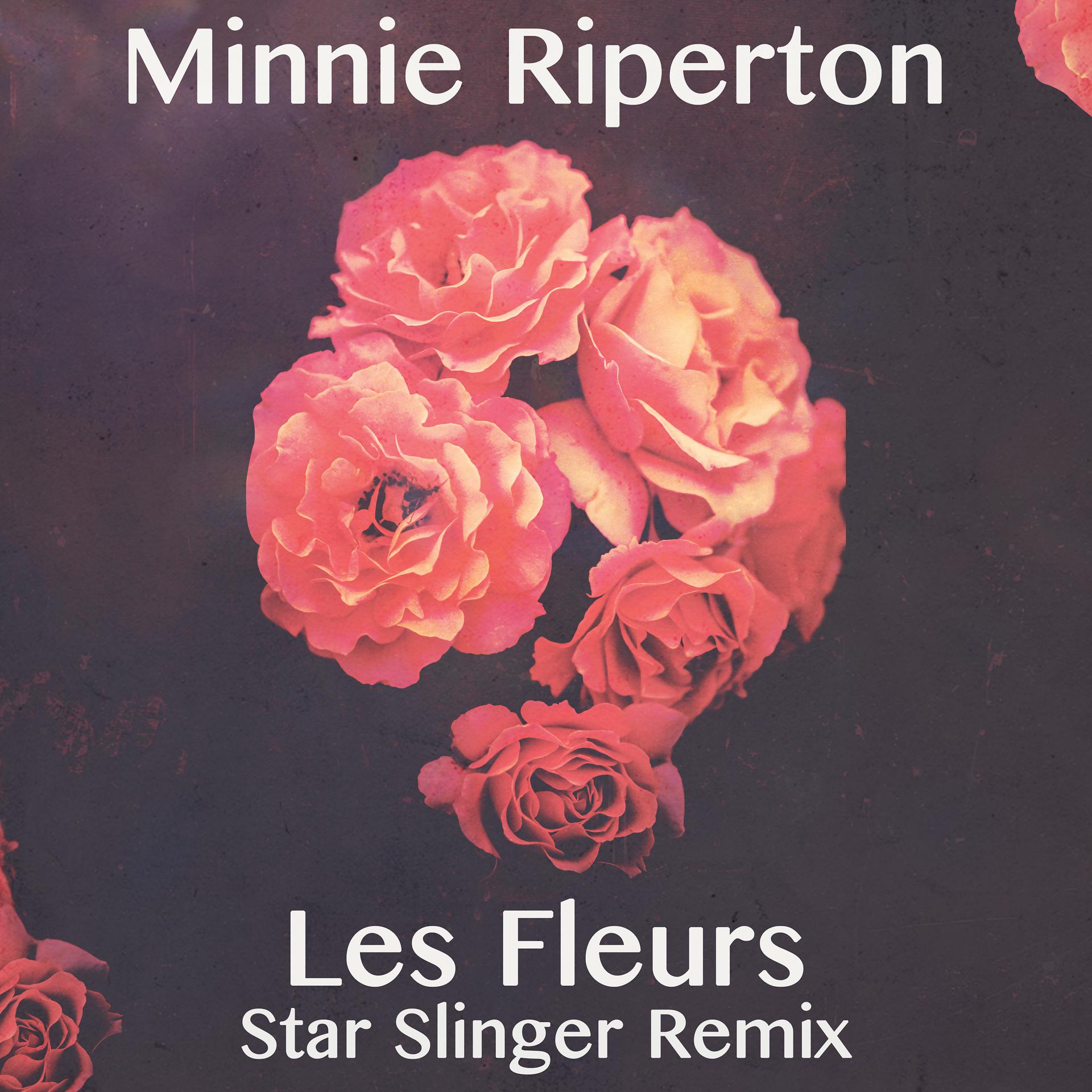 Постер альбома Les Fleurs (Star Slinger Remix)