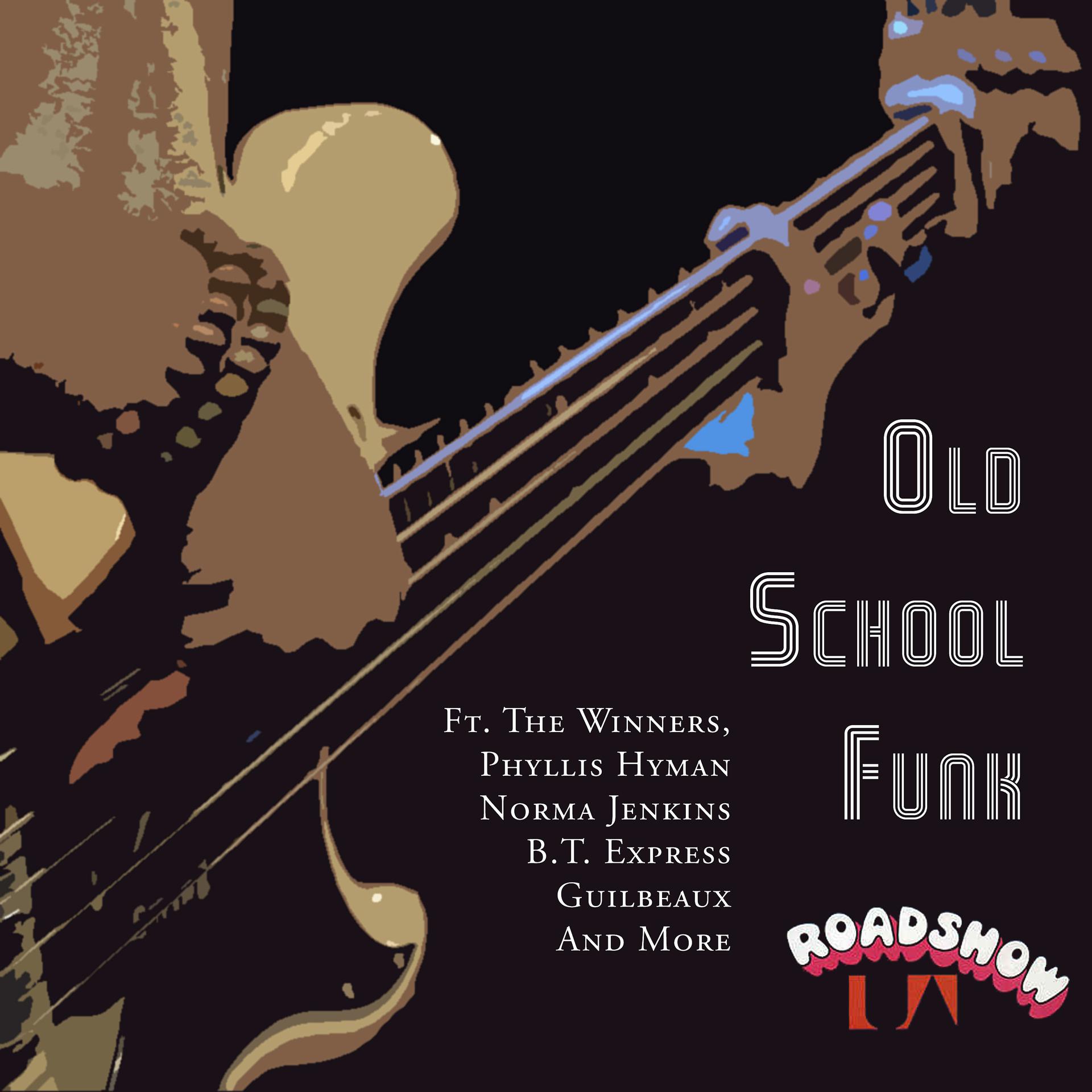 Постер альбома Old School Funk