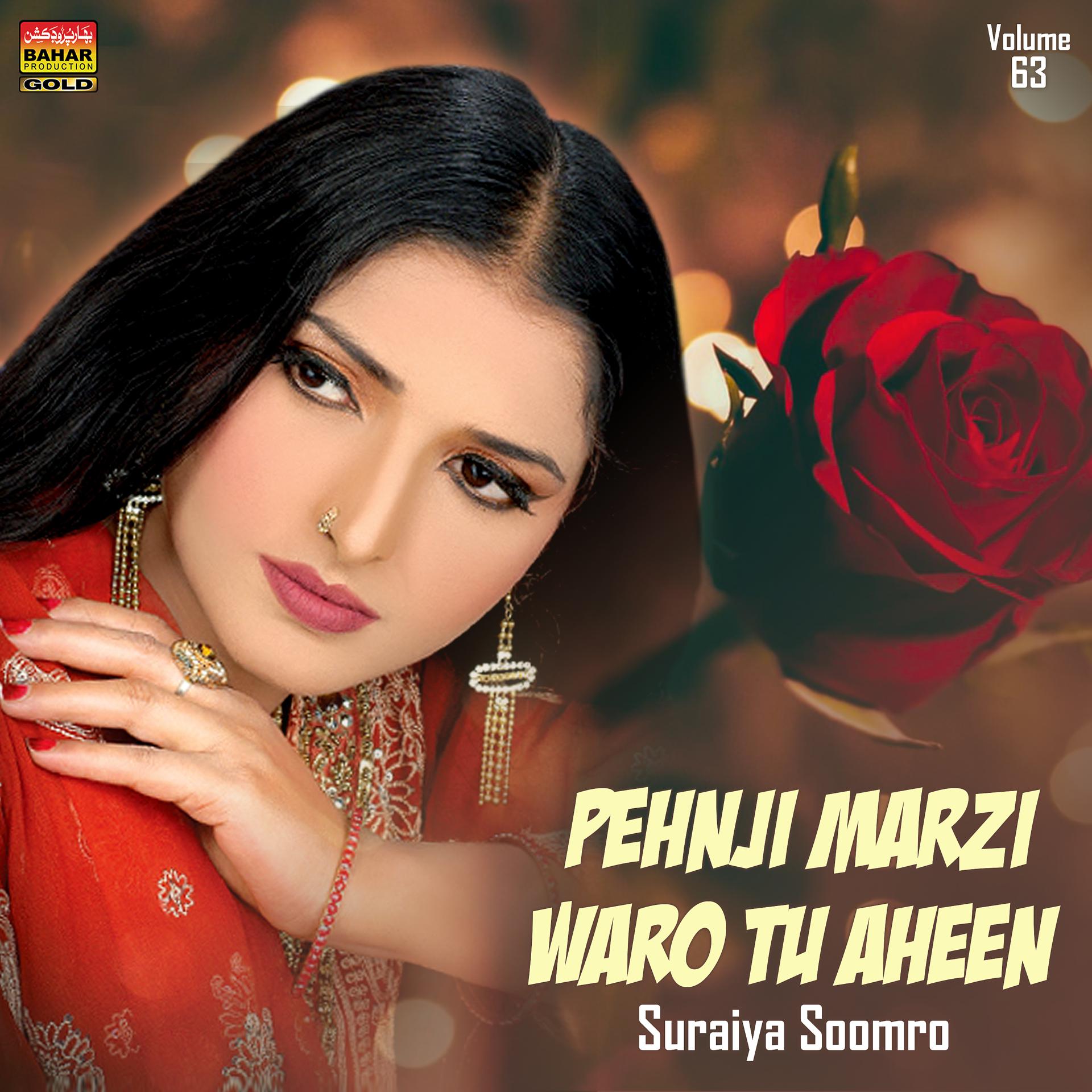 Постер альбома Pehnji Marzi Waro Tu Aheen, Vol. 63