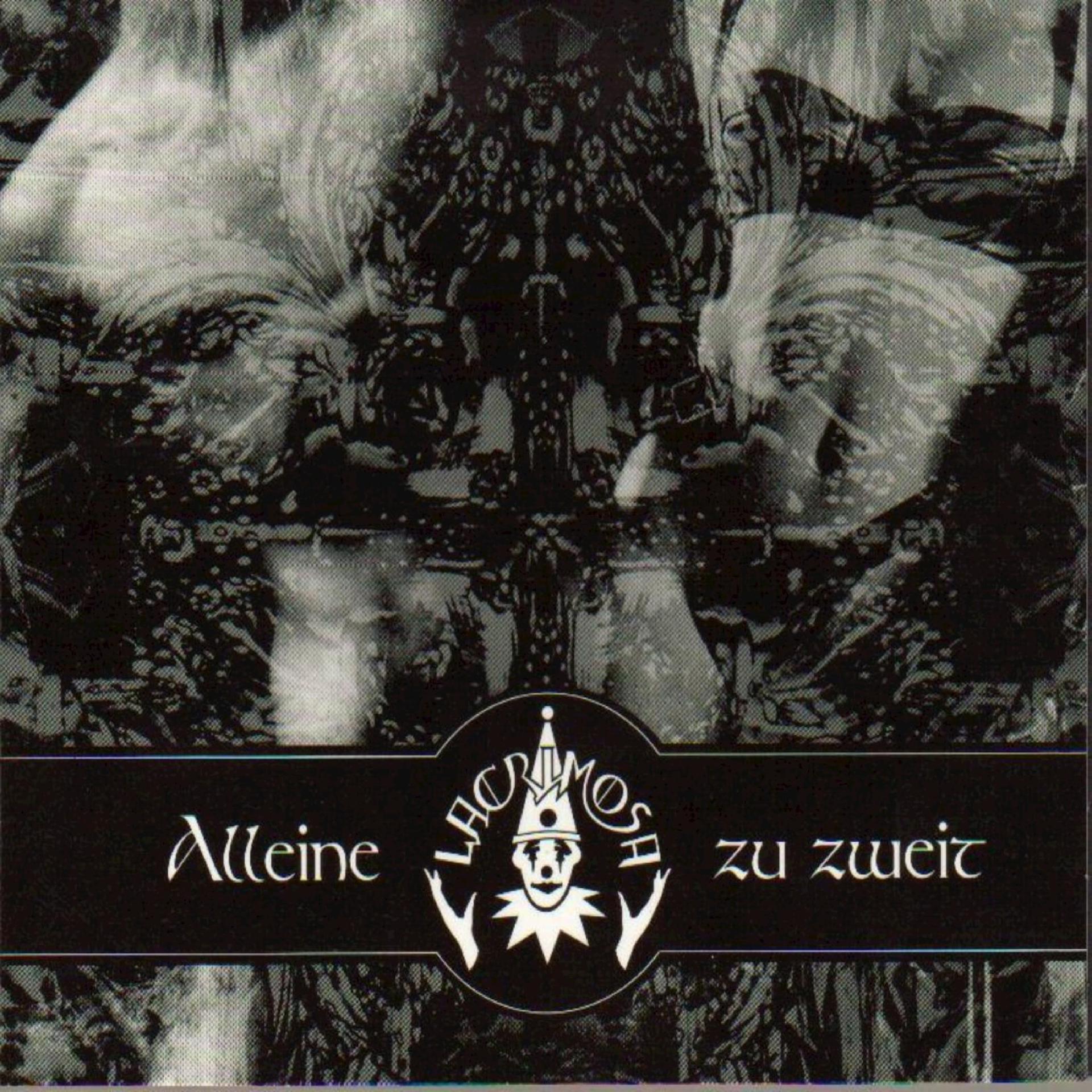 Постер альбома Alleine Zu Zweit