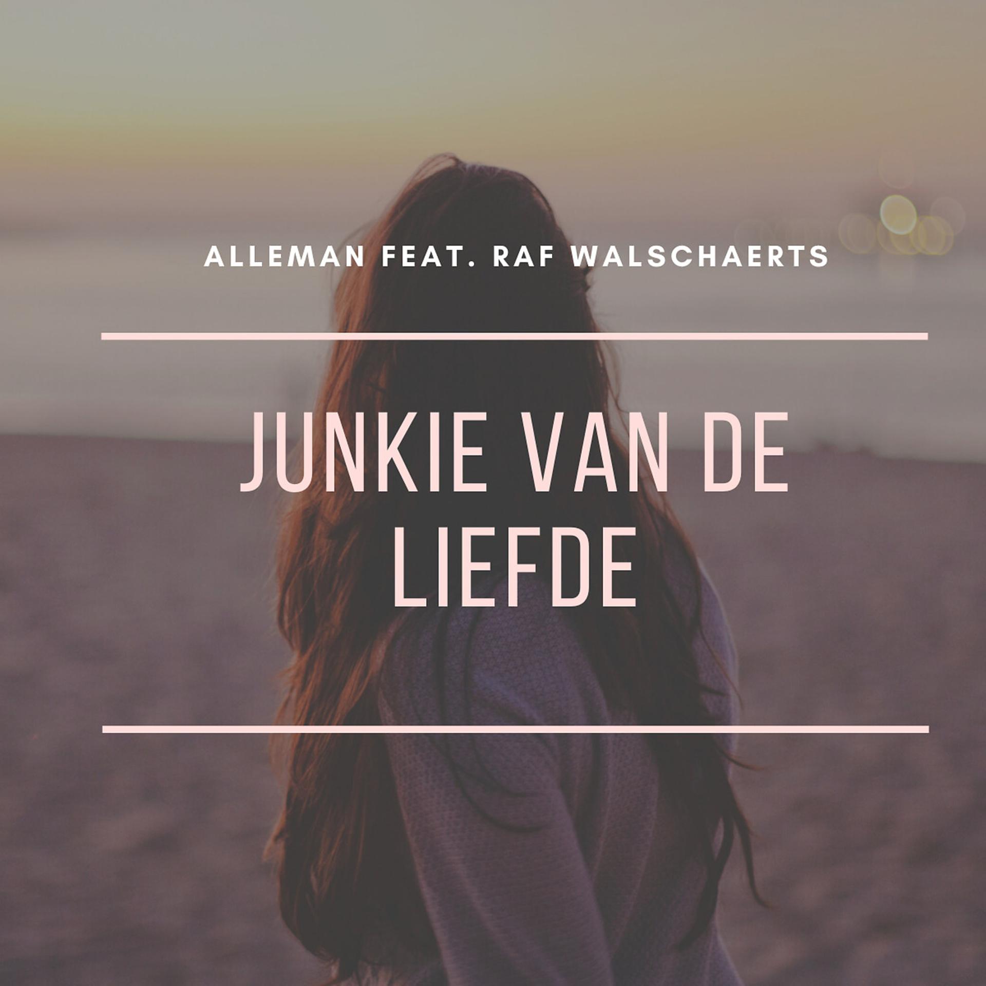 Постер альбома Junkie Van De Liefde
