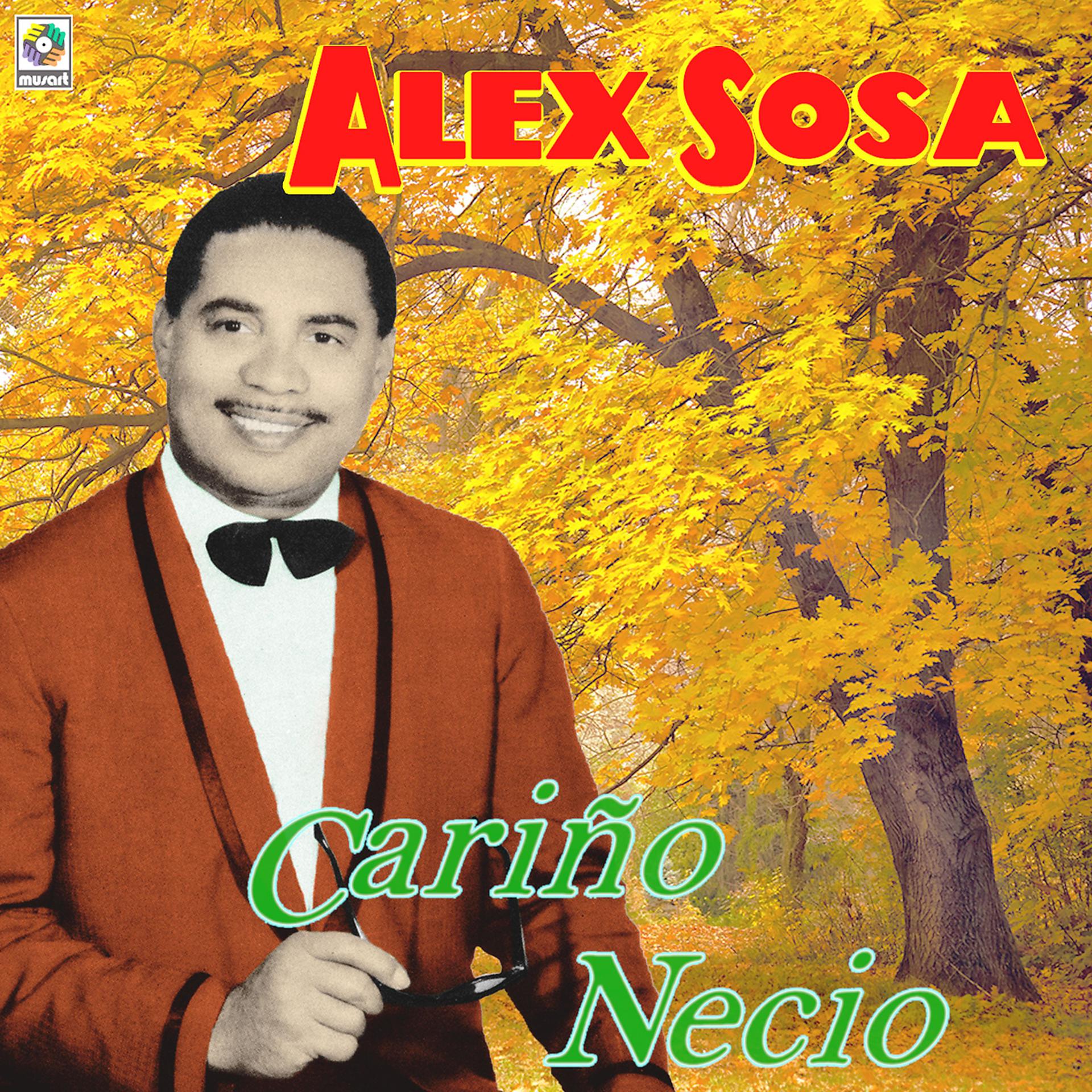 Постер альбома Cariño Necio