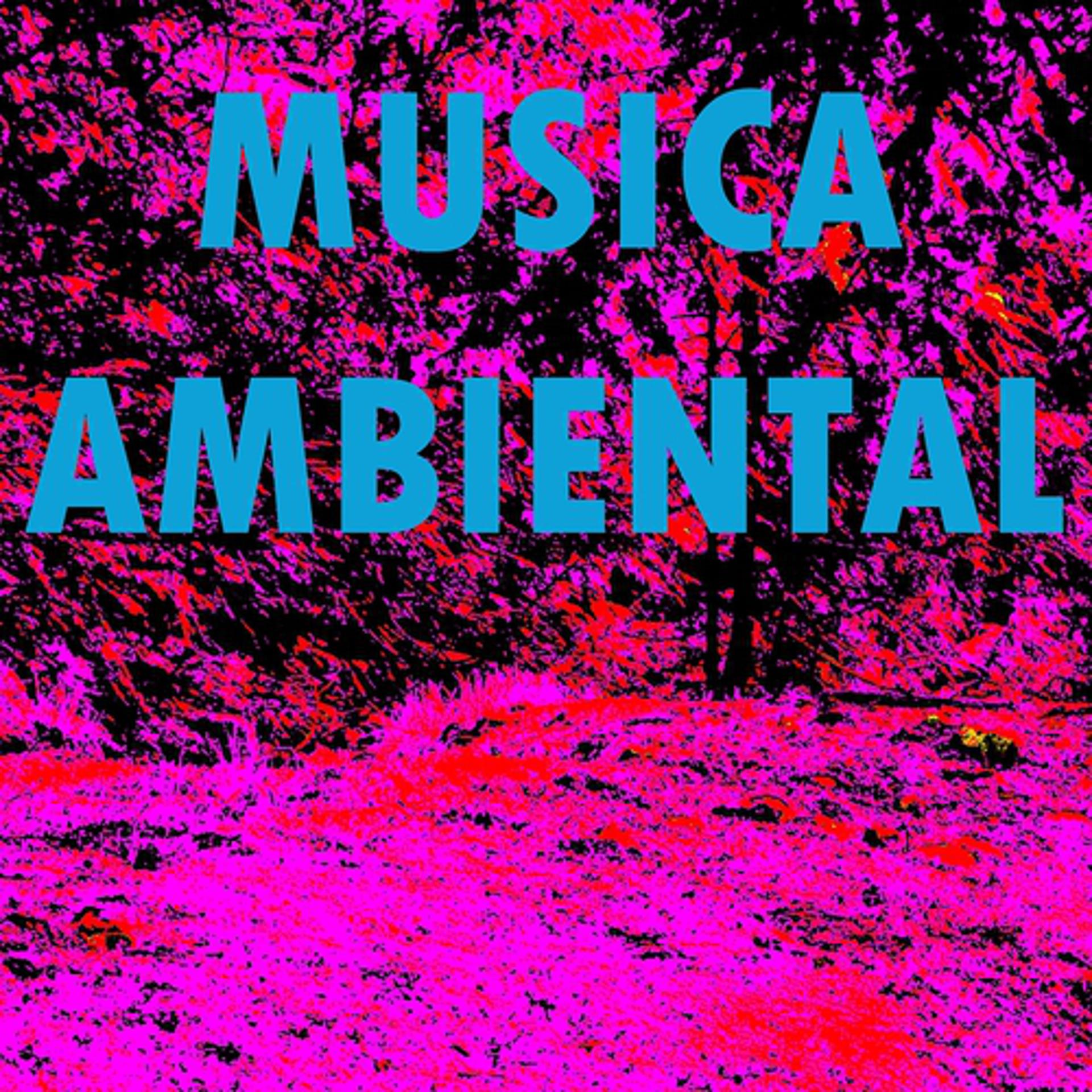 Постер альбома Musica Ambiental