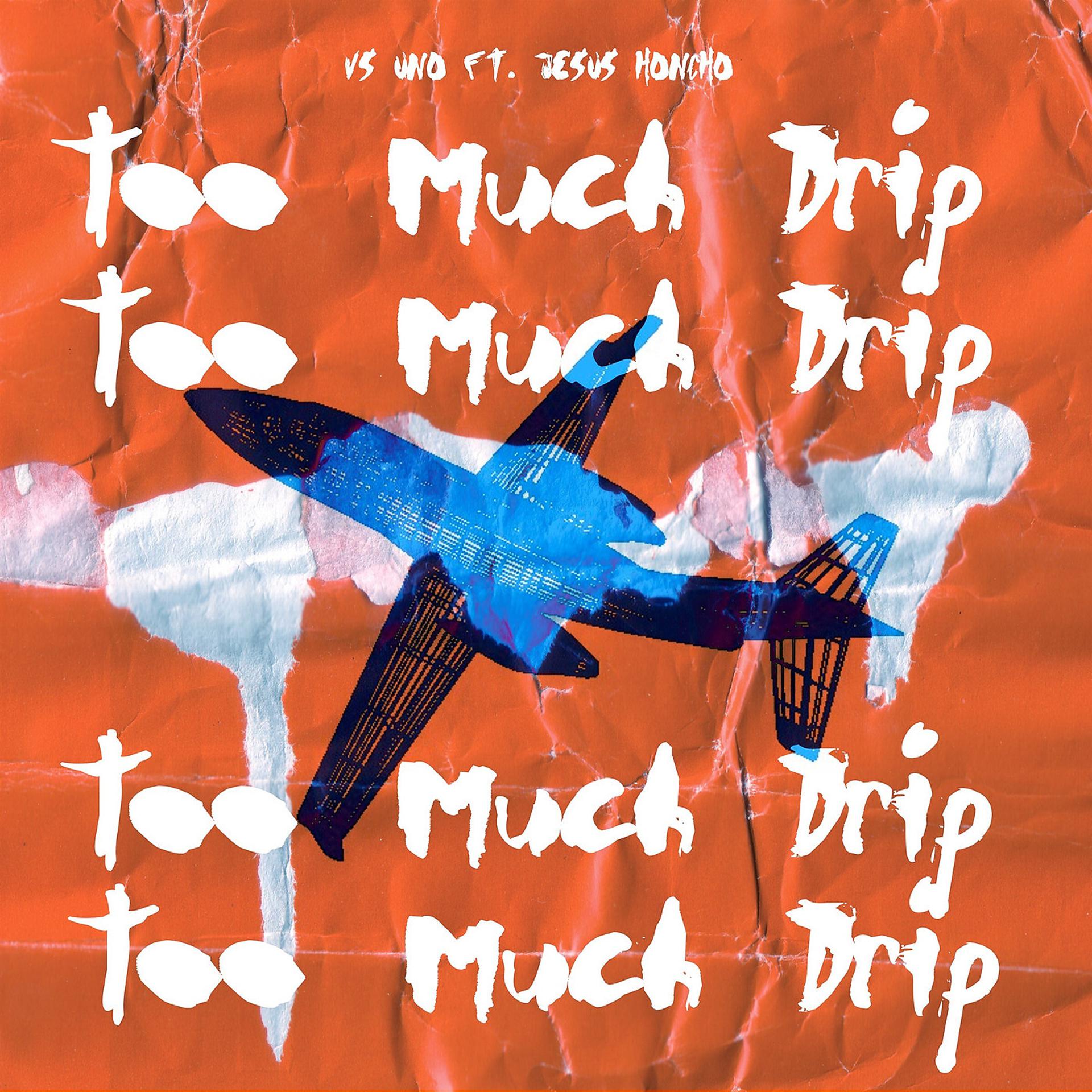 Постер альбома Too Much Drip