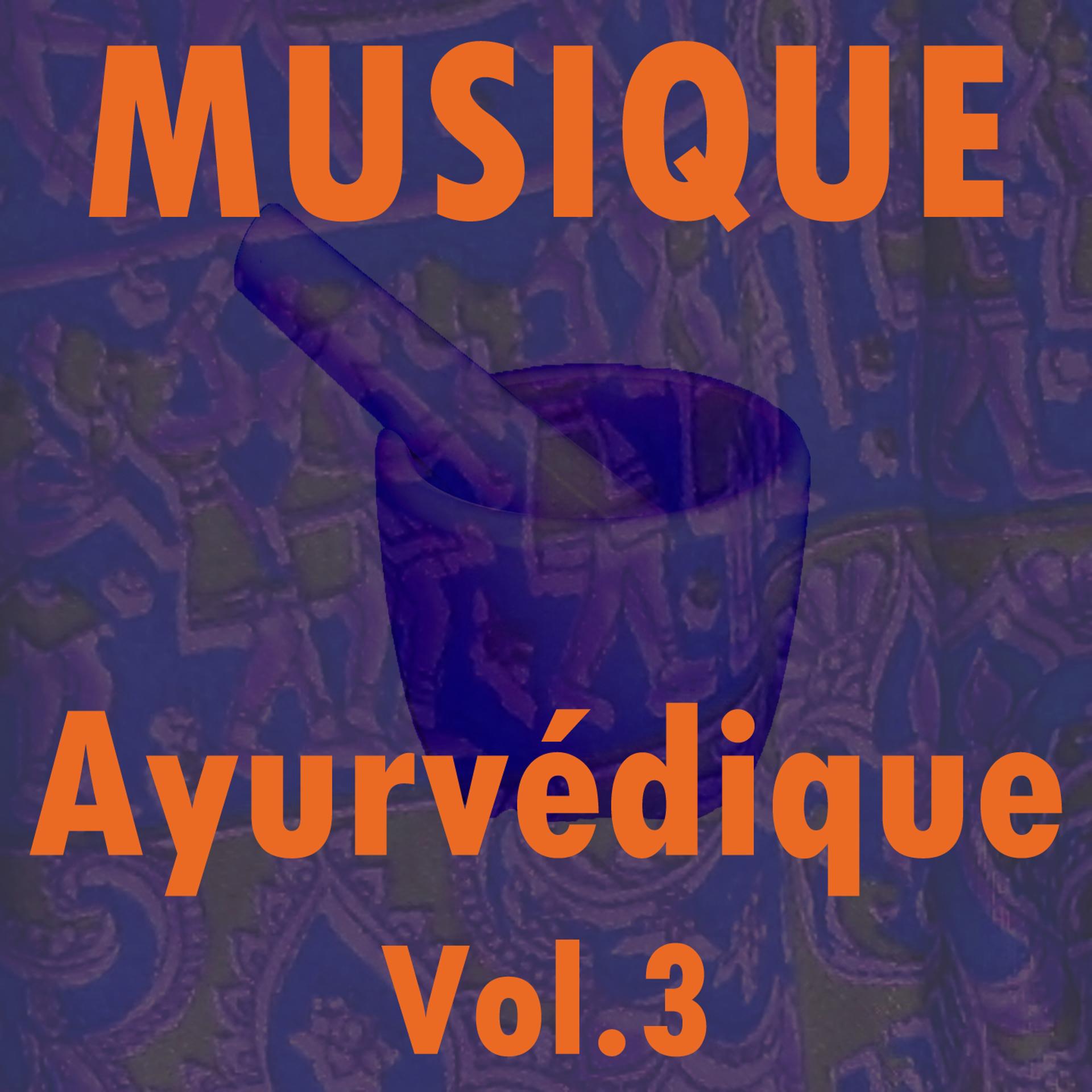 Постер альбома Musique ayurvédique, vol. 3