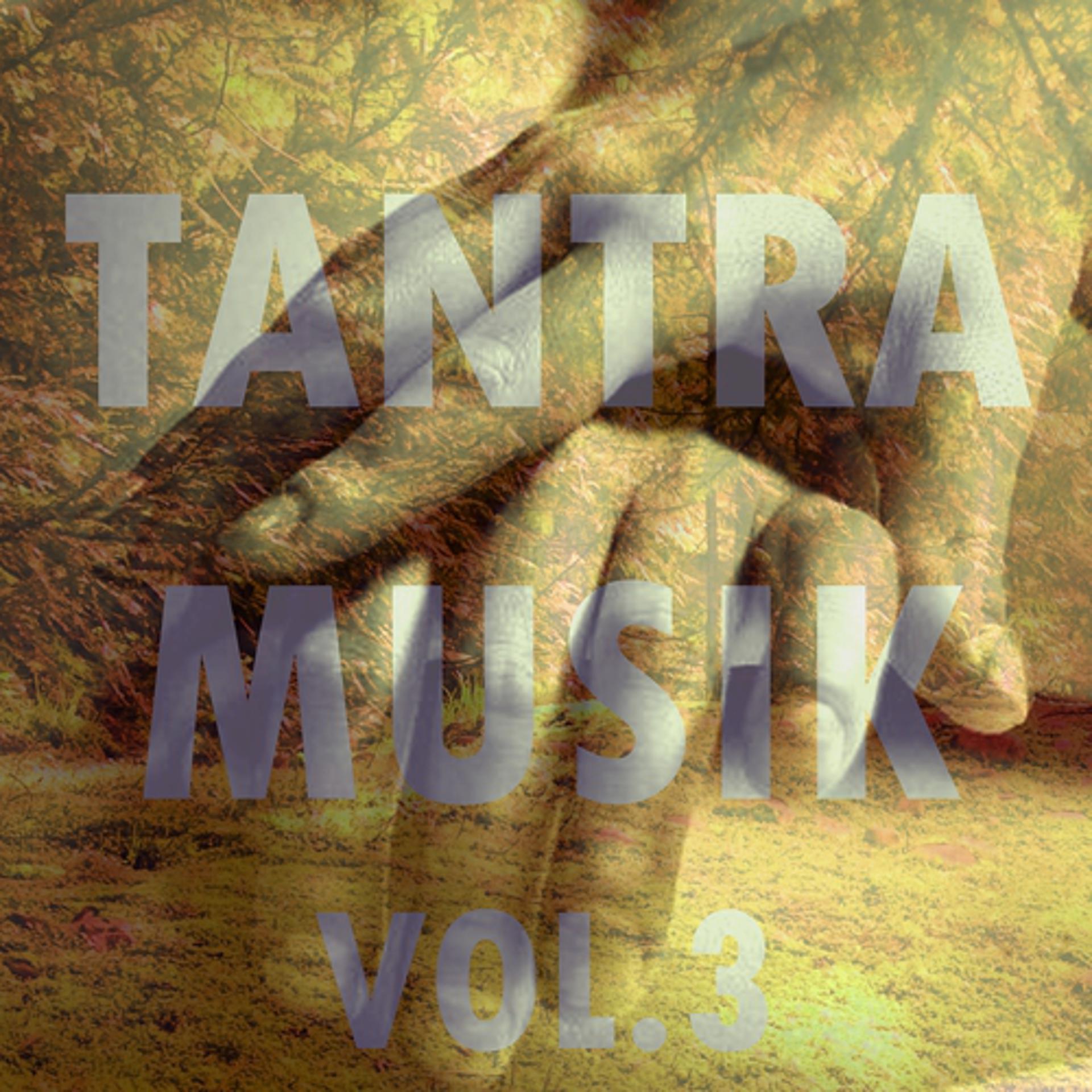 Постер альбома Tantra musik, vol. 3