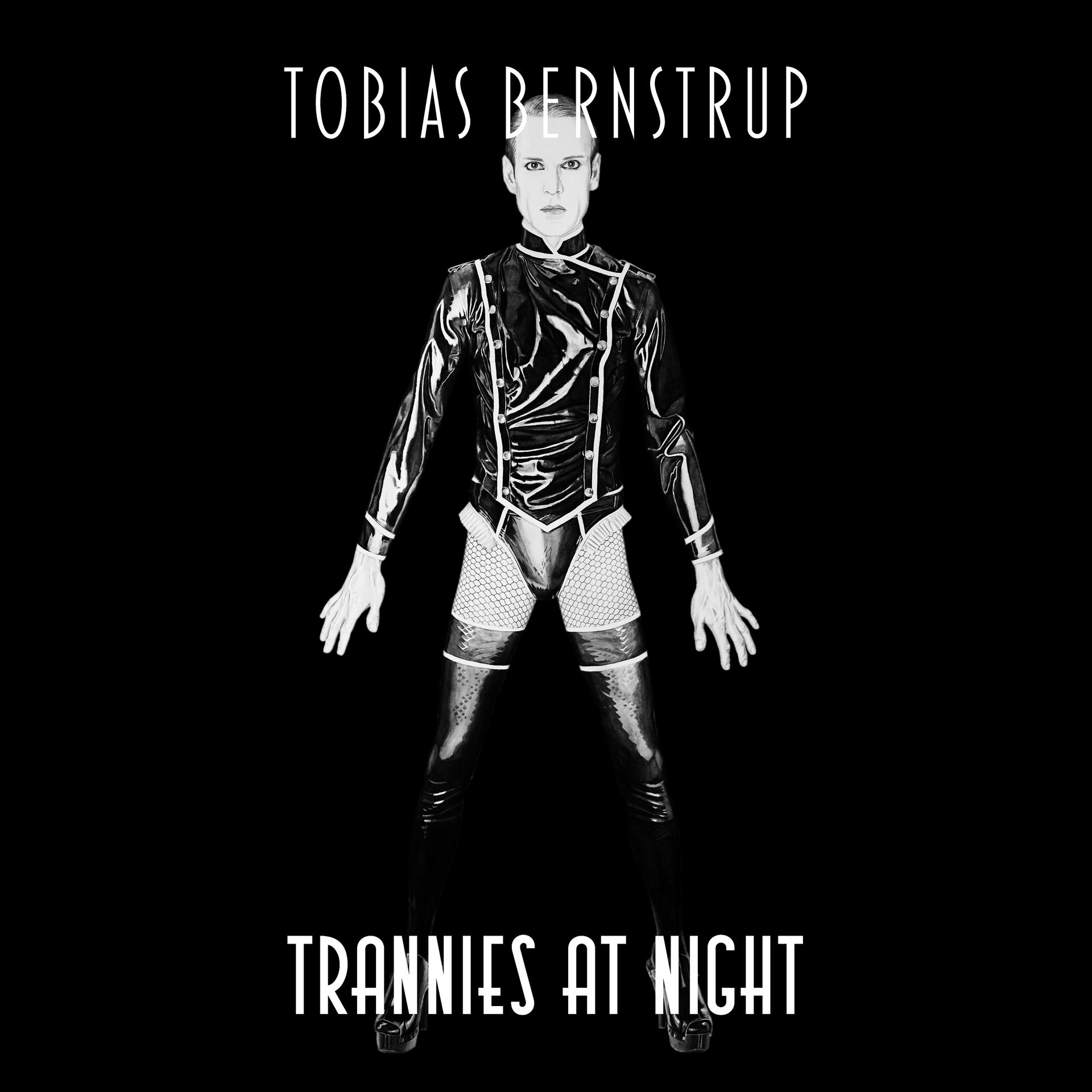 Постер альбома Trannies at Night 1998-2012