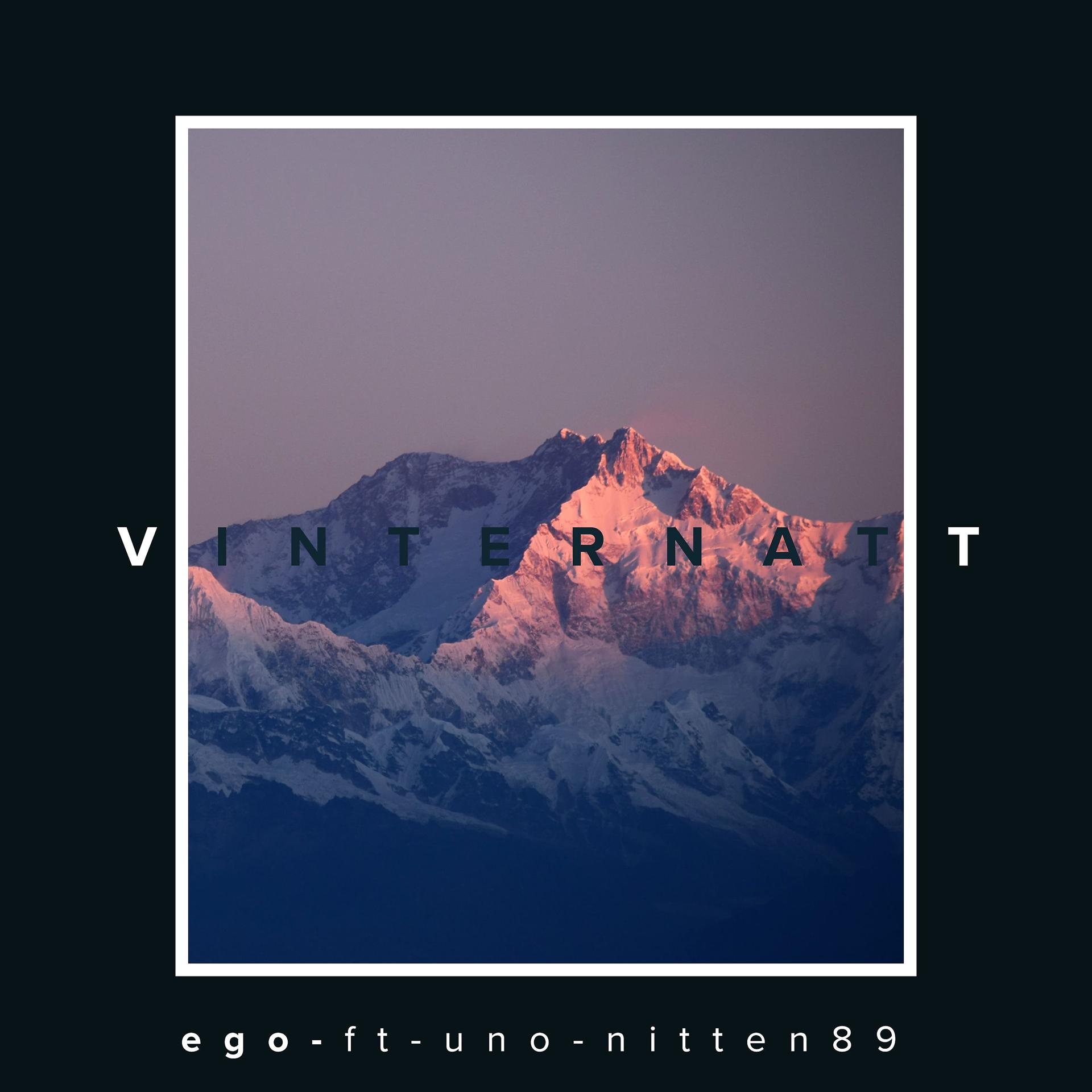 Постер альбома Vinternatt