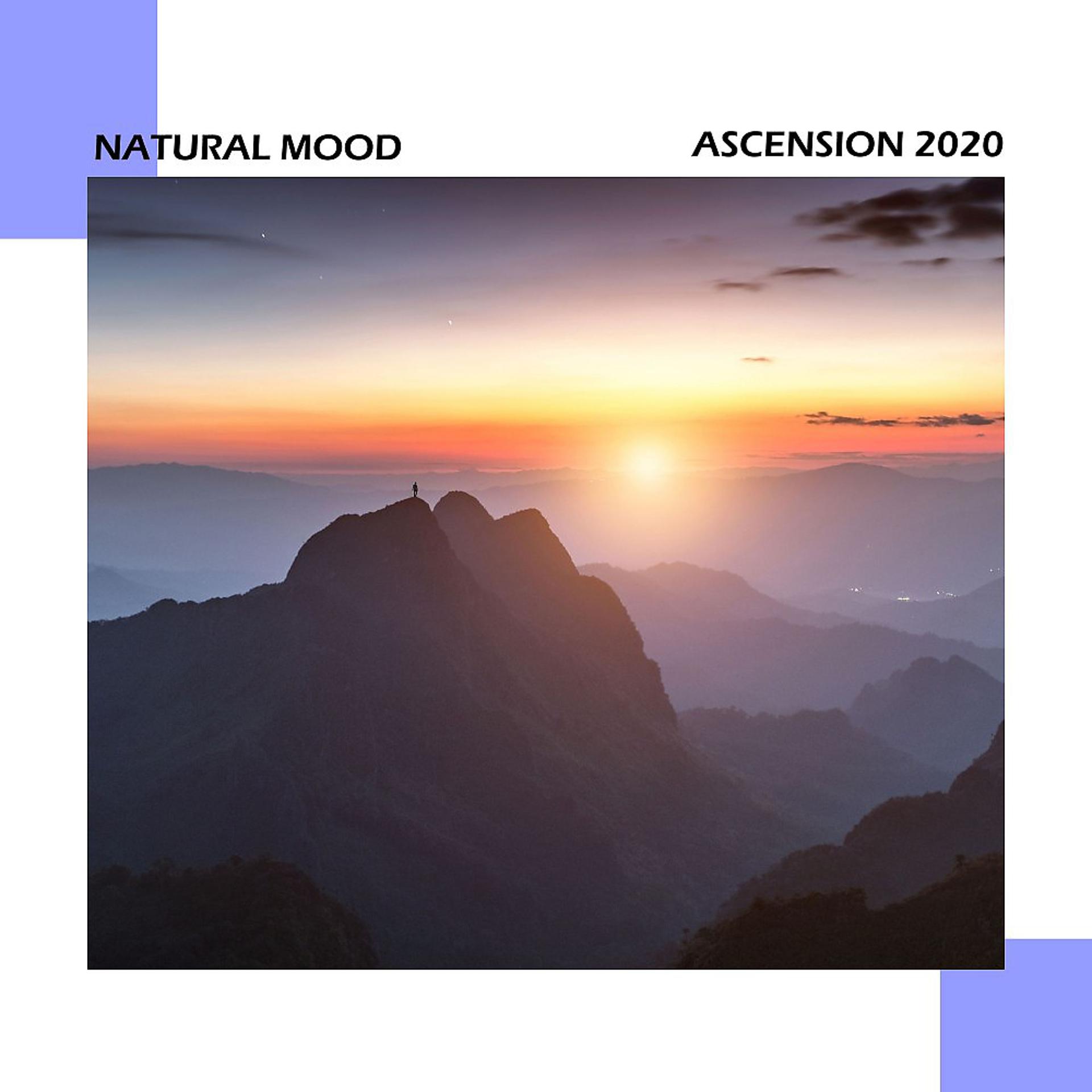 Постер альбома Ascension 2020