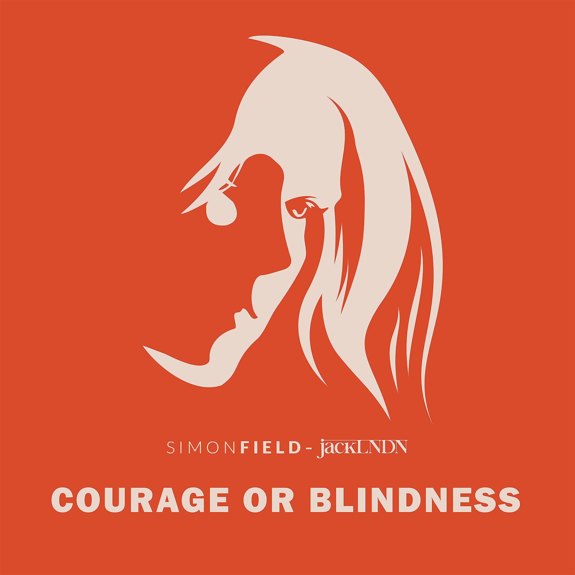 Постер альбома Courage or Blindness