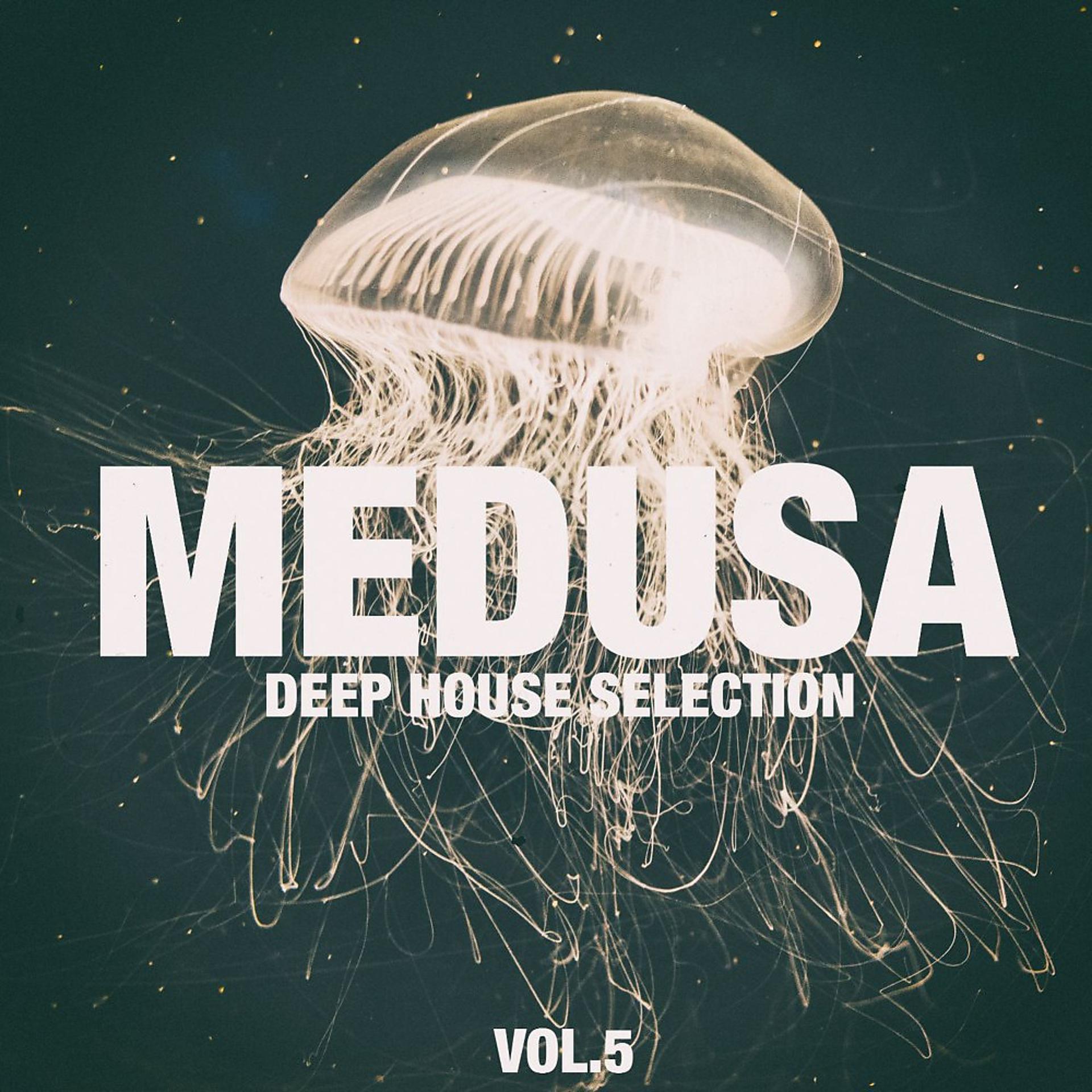 Постер альбома Medusa, Vol. 5 (Deep House Selection)