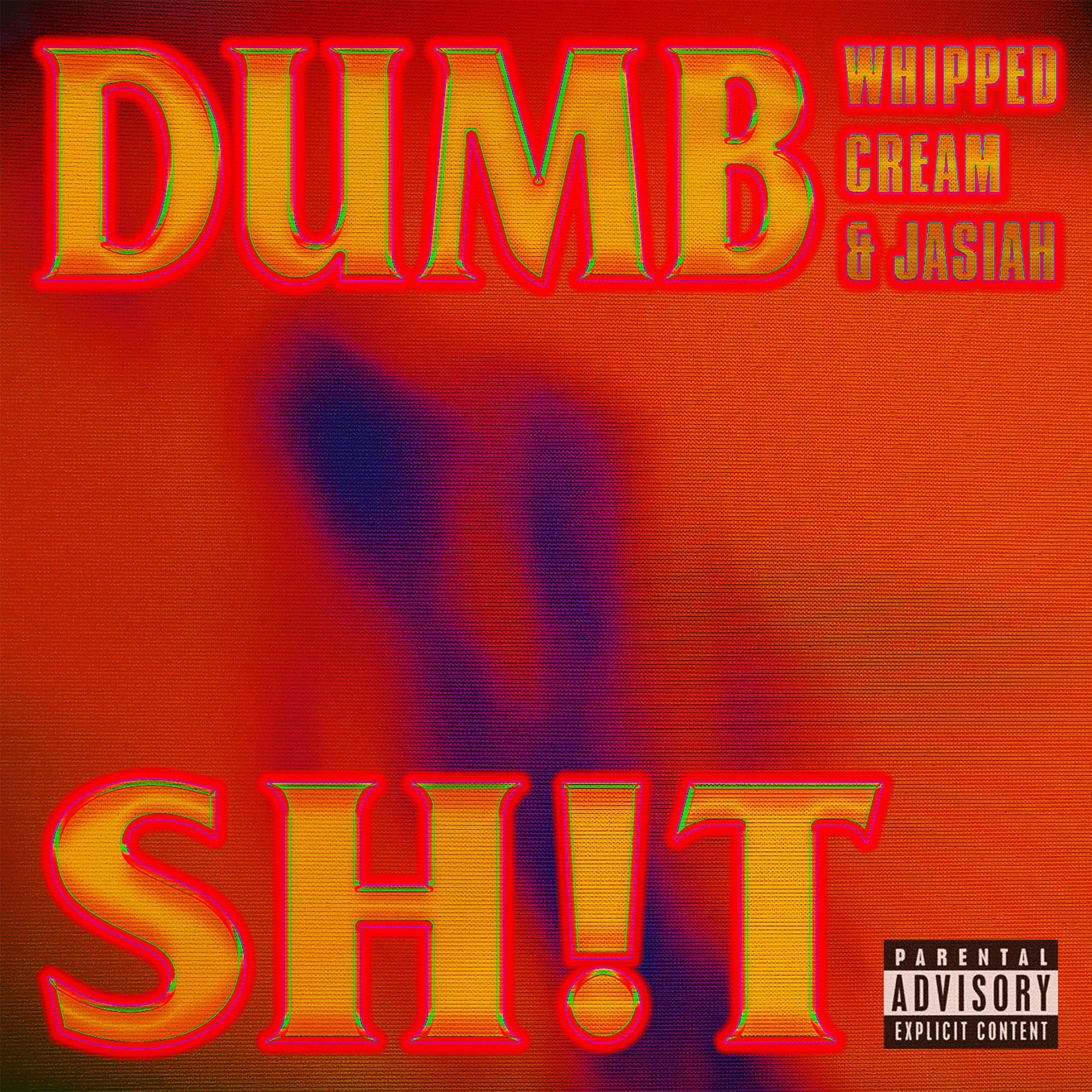 Постер альбома DUMB SH!T