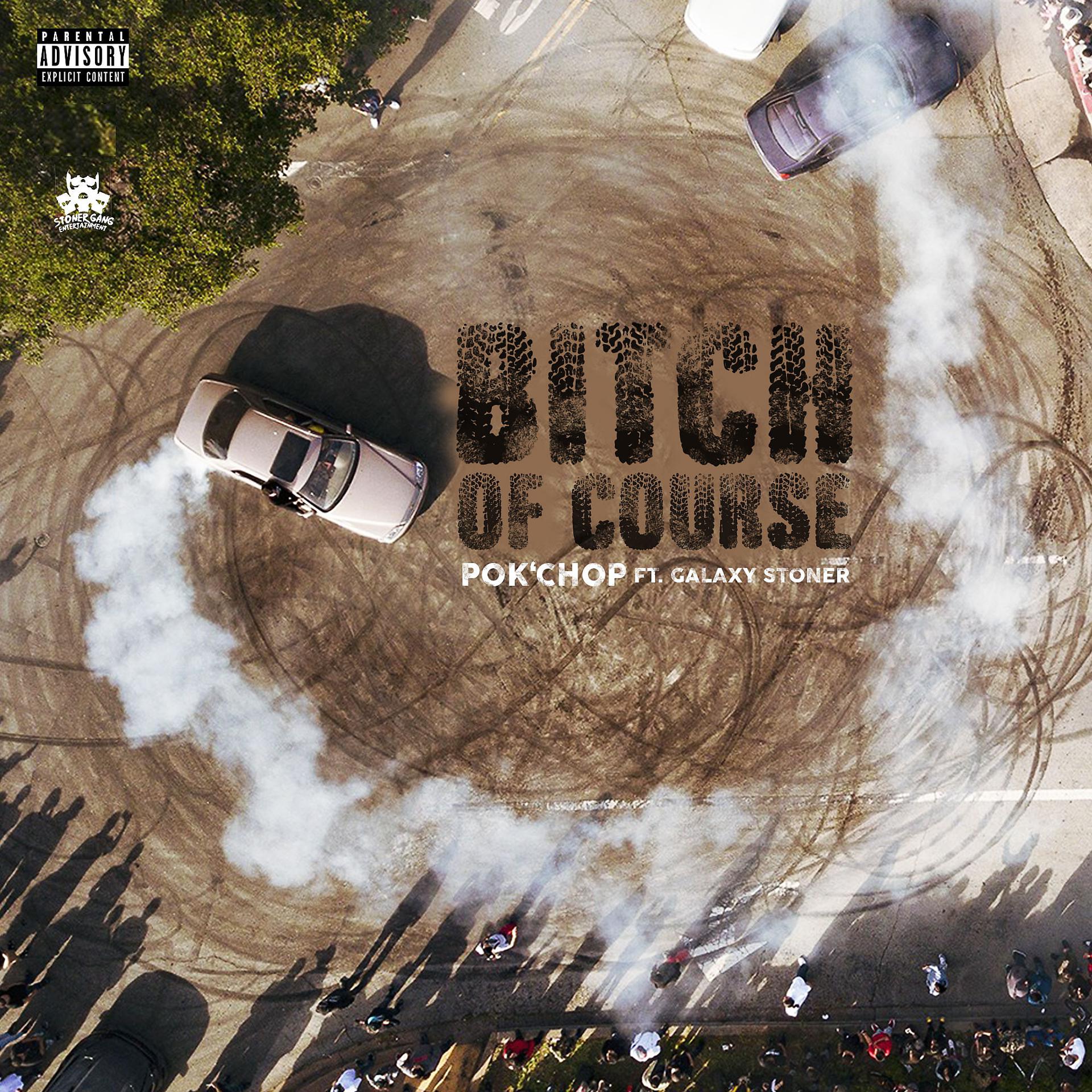 Постер альбома Bitch Of Course (feat. Galaxy Stoner)