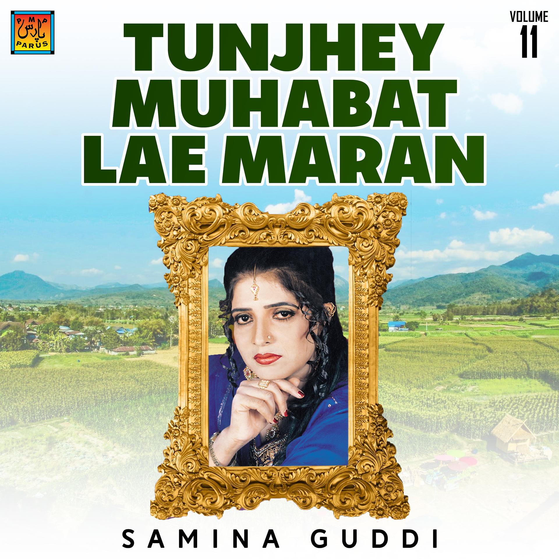 Постер альбома Tunjhey Muhabat Lae Maran, Vol. 11