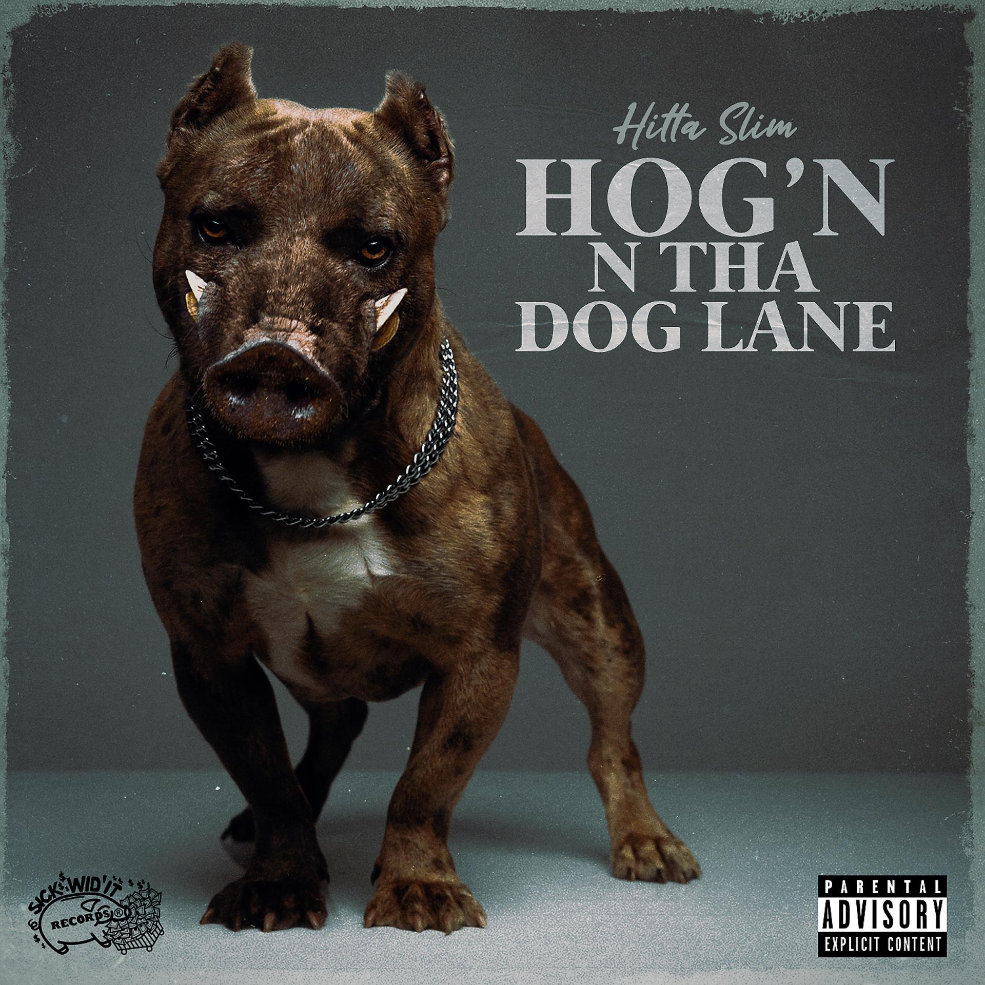 Постер альбома Hog'n N Tha Dog Lane